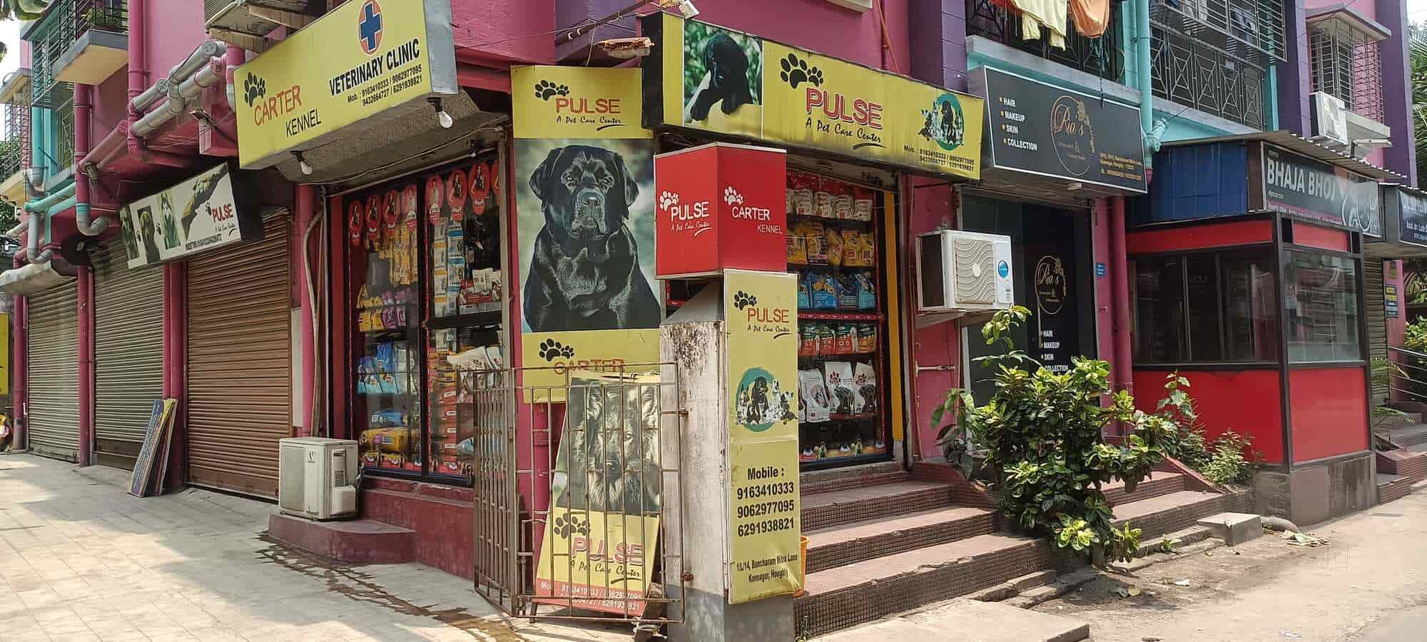 Top Dog Food Retailers in Puinan Best Dog Food Shops Hooghly near me