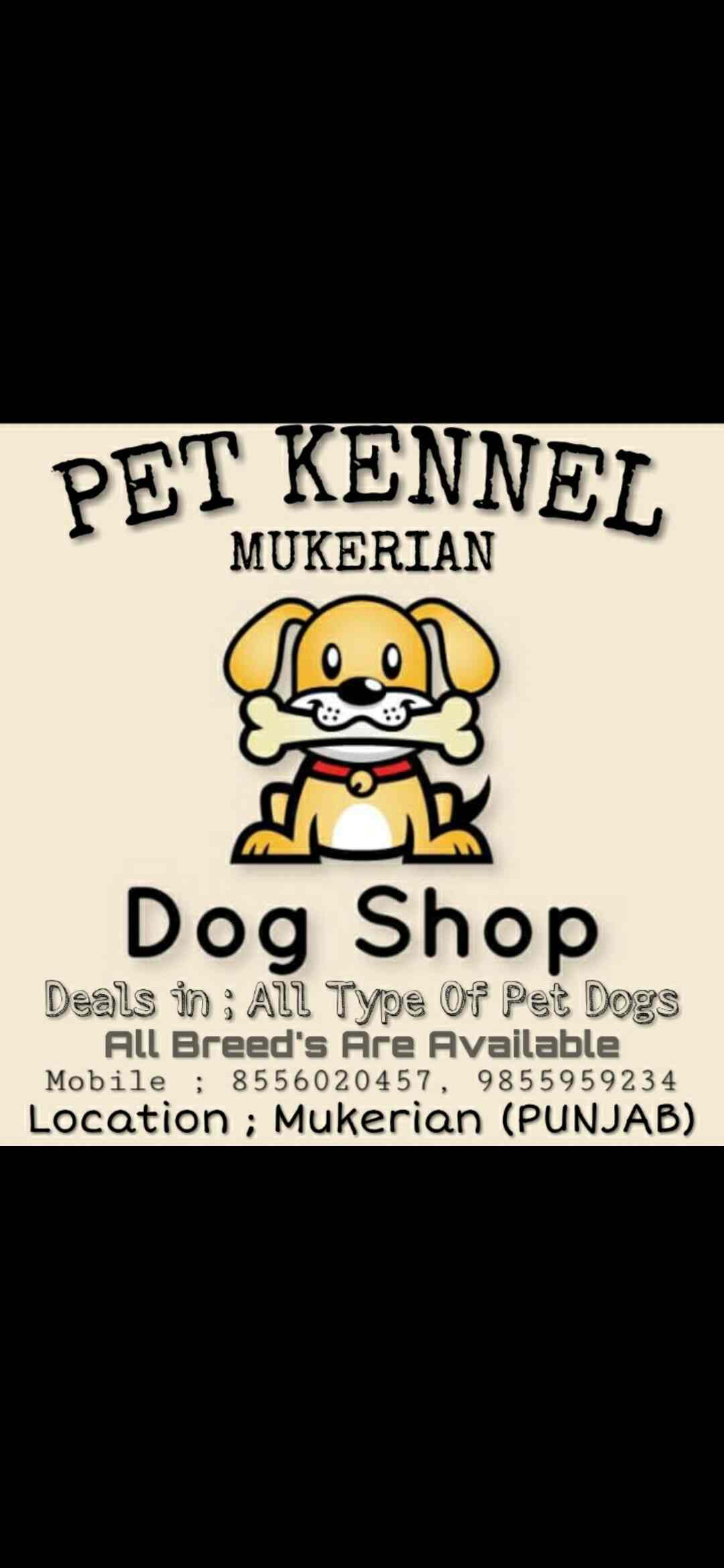 Top Wooden Dog Kennel Dealers in Khanna near me Justdial