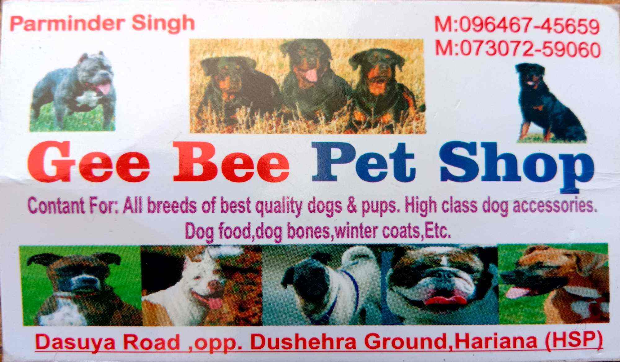 best shop dogs