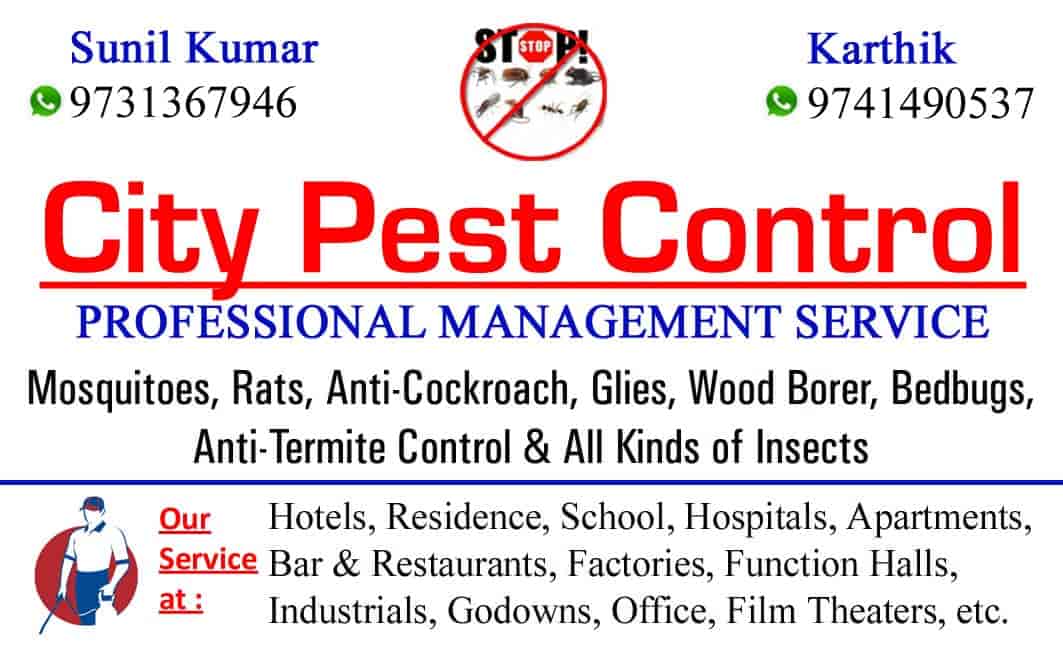 Top Residential Pest Control Services in Davangere Best Pest Control