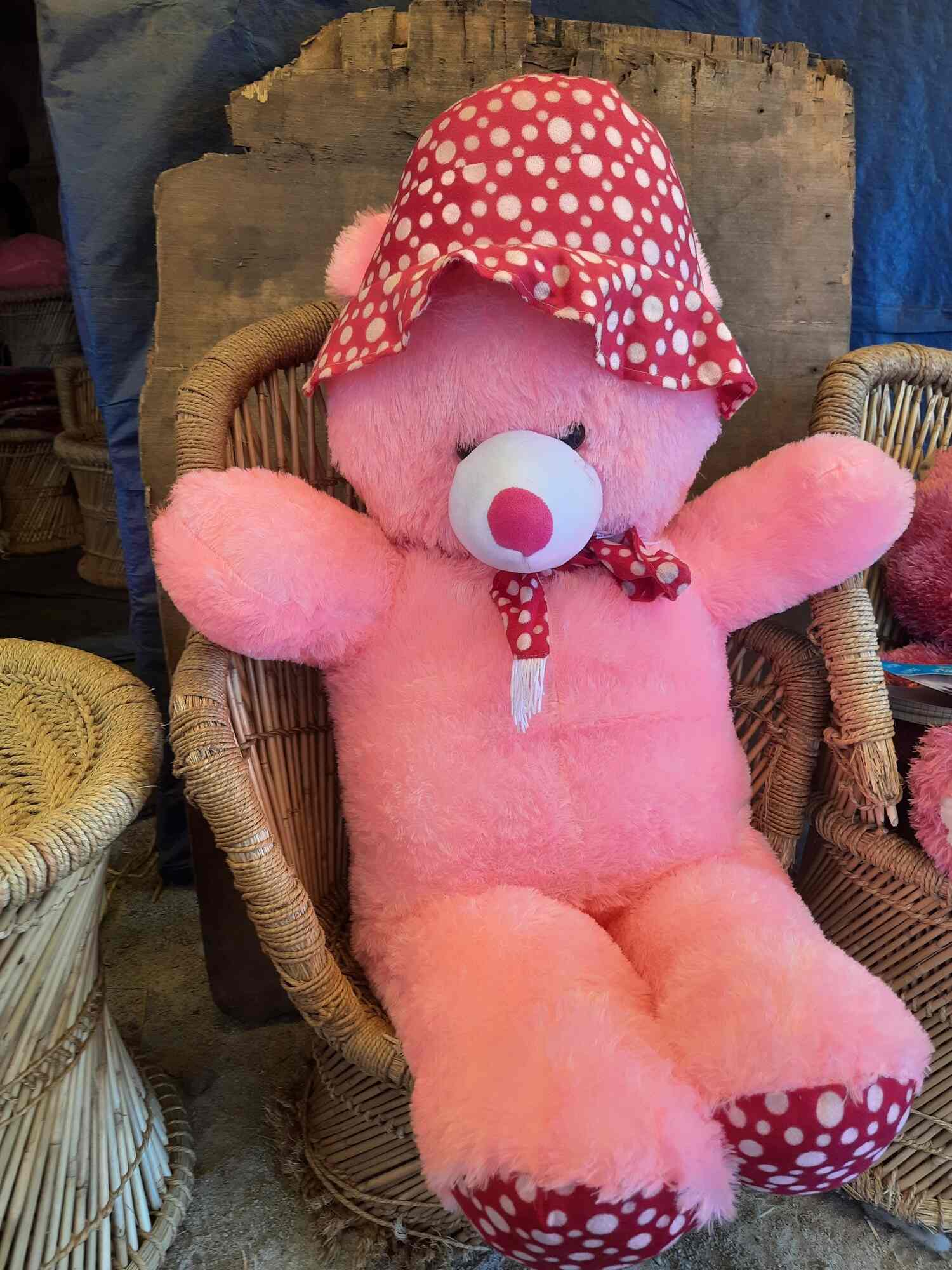 List of Top Furnitures On Rent in Bellary Best Furniture On Hire