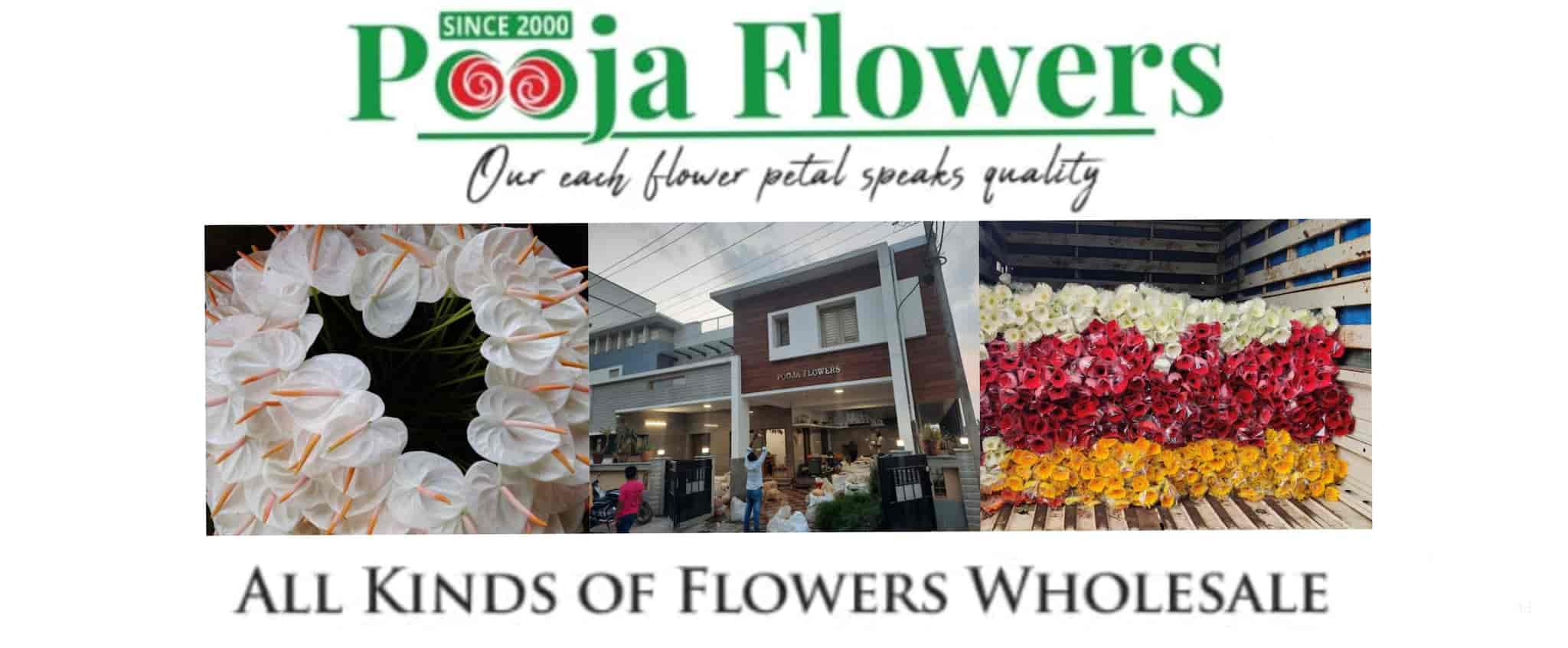 Top Flower Shops in Hosur Best Florists near me Justdial