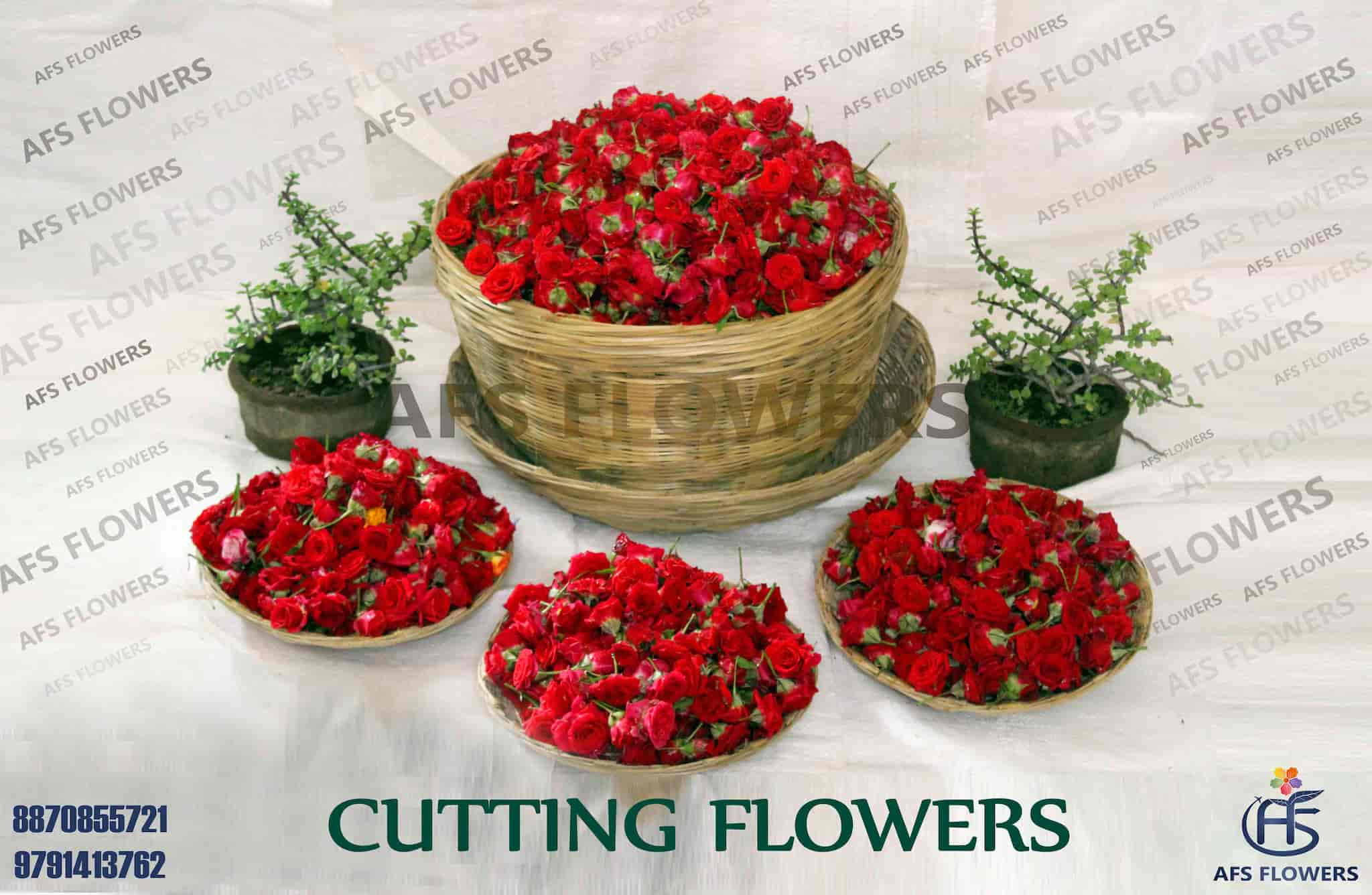 Top Flower Shops in Hosur Best Florists near me Justdial