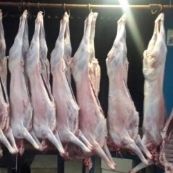 Bismillah Chicken And Mutton Stall in Opposite Mylan Company - Best Chicken Retailers in Hosur - Justdial Bismillah Chicken And Mutton Stall in Opposite Mylan Company - Best Chicken Retailers in Hosur - Justdial