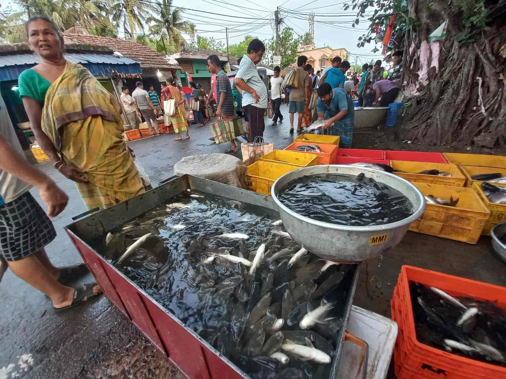 Top Fish Markets in Salt Lake City Sector 1 - Best Seafood Market