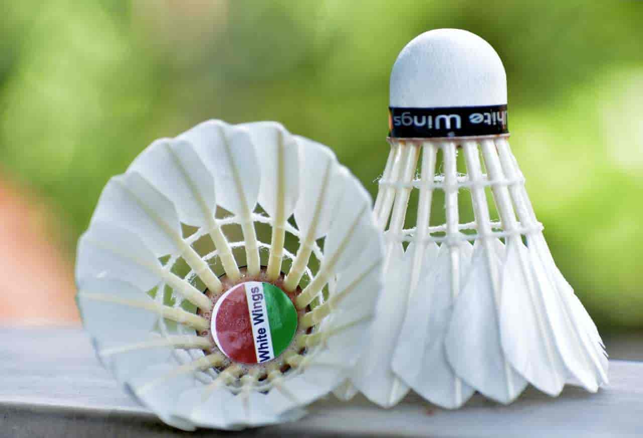 Top Badminton Shuttlecock Dealers in Uluberia Best Badminton Shuttle