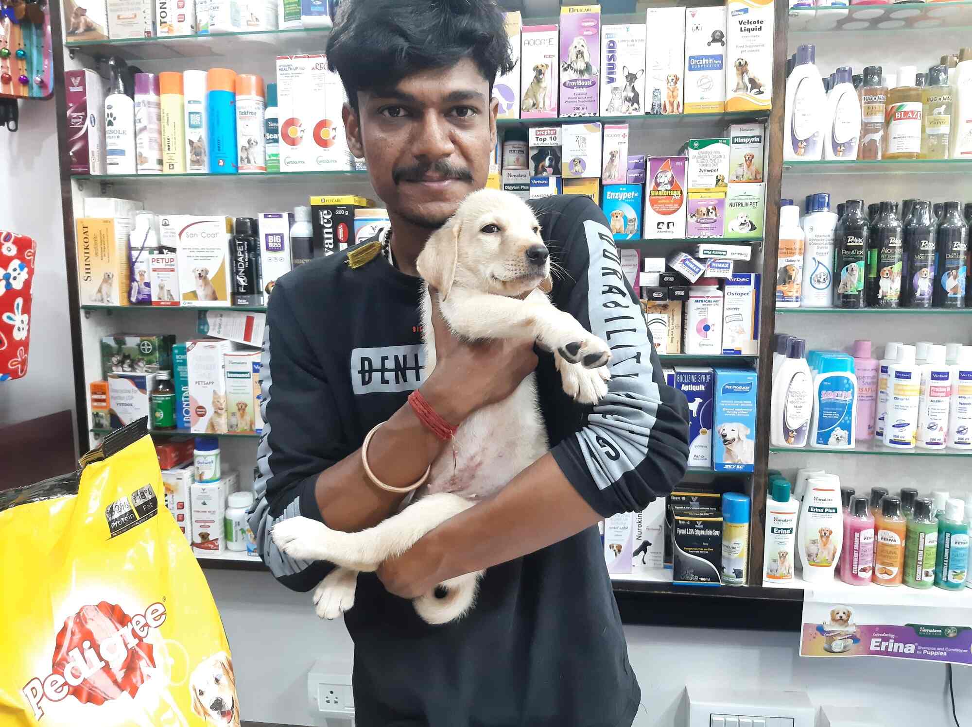 Puppy n love sale