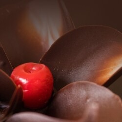 Top Cake Shops in Santragachi,Howrah - Best Cake Bakeries - Justdial