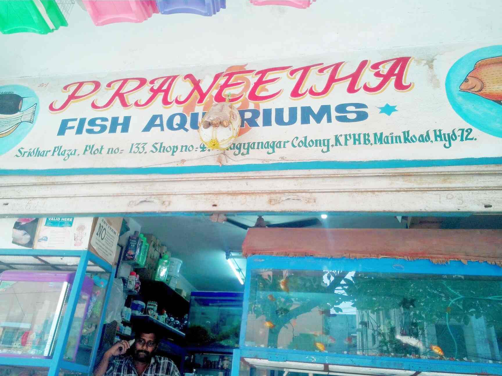 Praneetha Fish Aquriums & Pets in Kukatpally,Hyderabad Best Aquariums