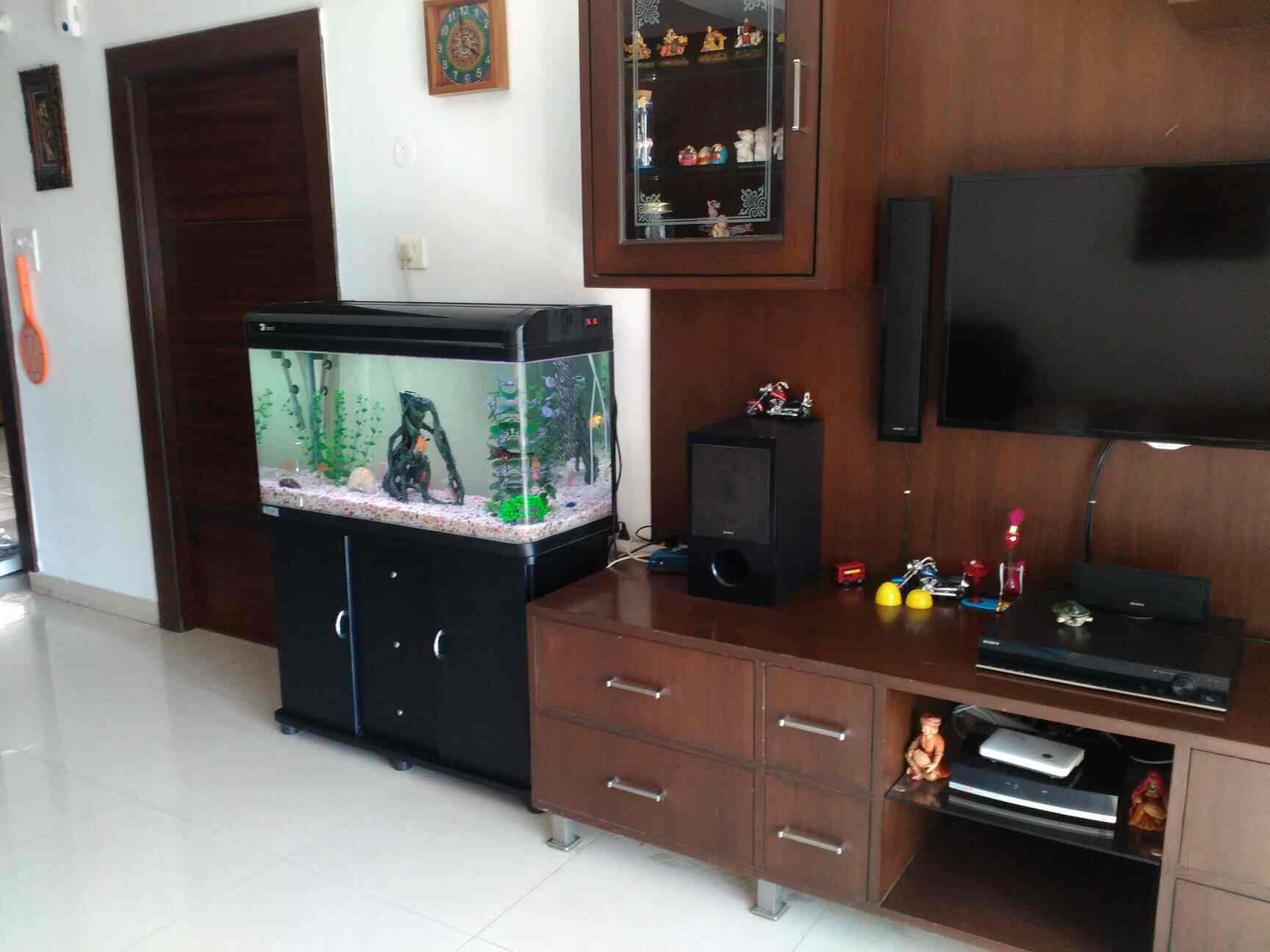 Praneetha Fish Aquriums & Pets in Kukatpally,Hyderabad Best Aquariums