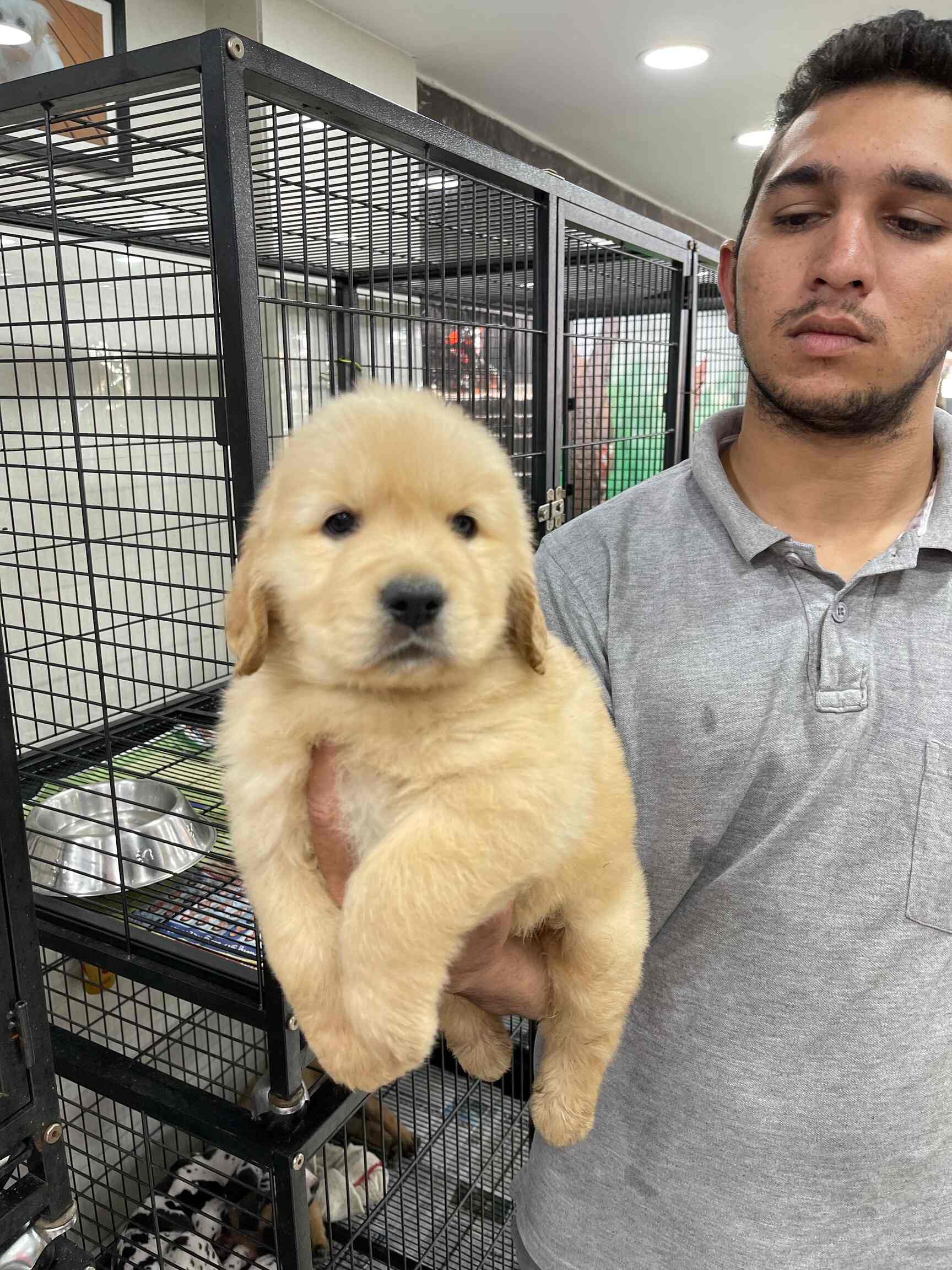 Top Pet Shops in Hyderabad Best Pet Store near me Justdial