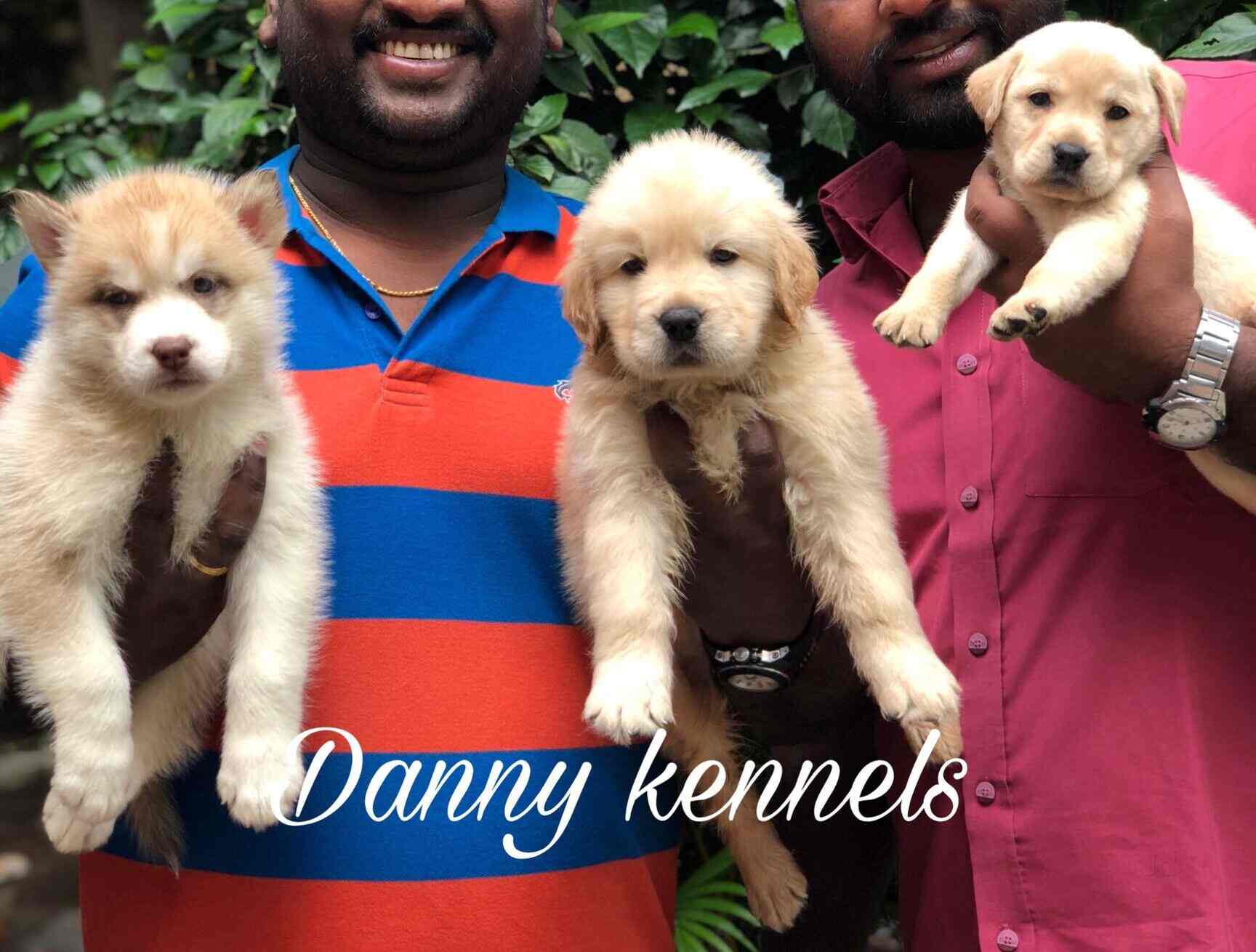 Top 10 Pet Shops For Birds in Secunderabad Best Bird Shops Hyderabad