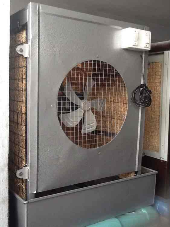 rasika air cooler price