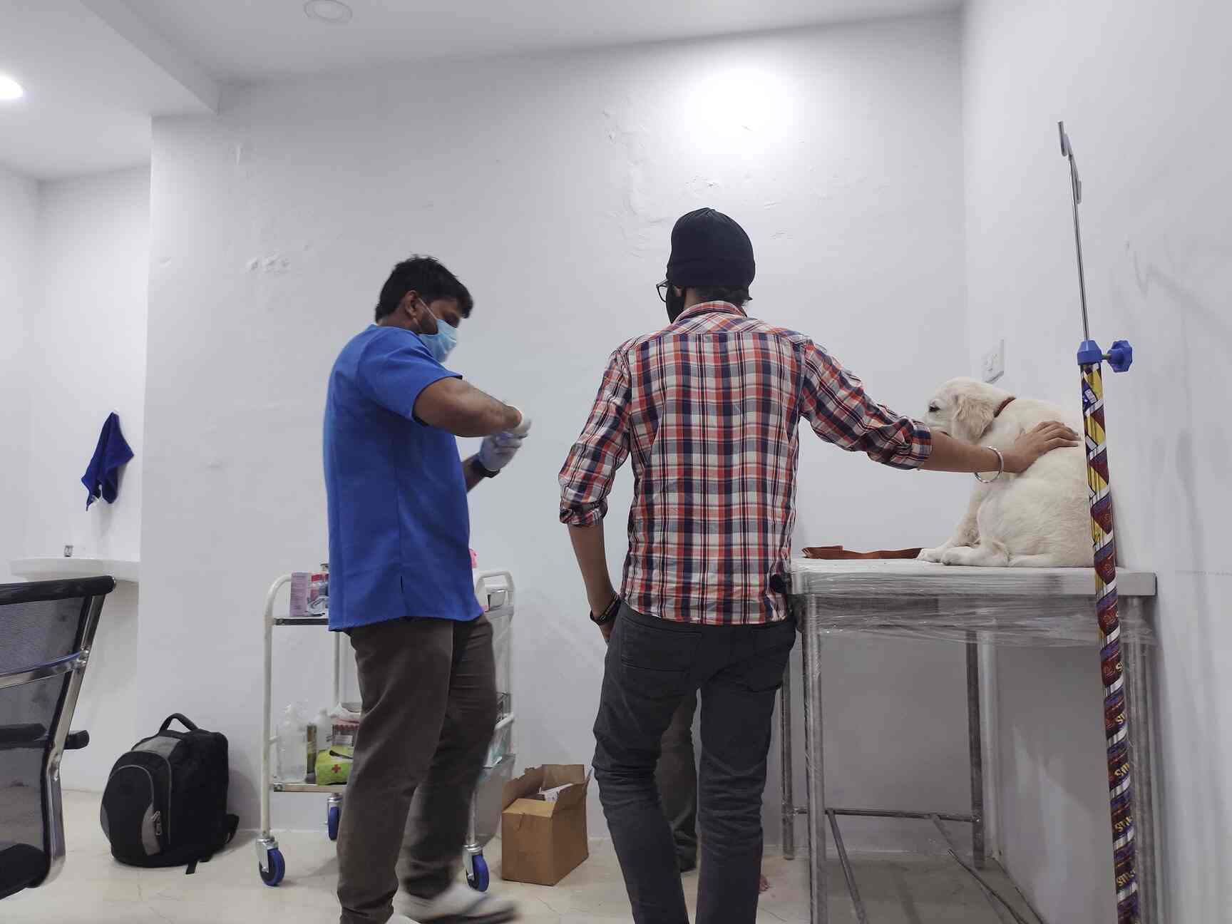 Pet Shine Clinic in Himayat Nagar,Hyderabad Best Veterinary Clinics