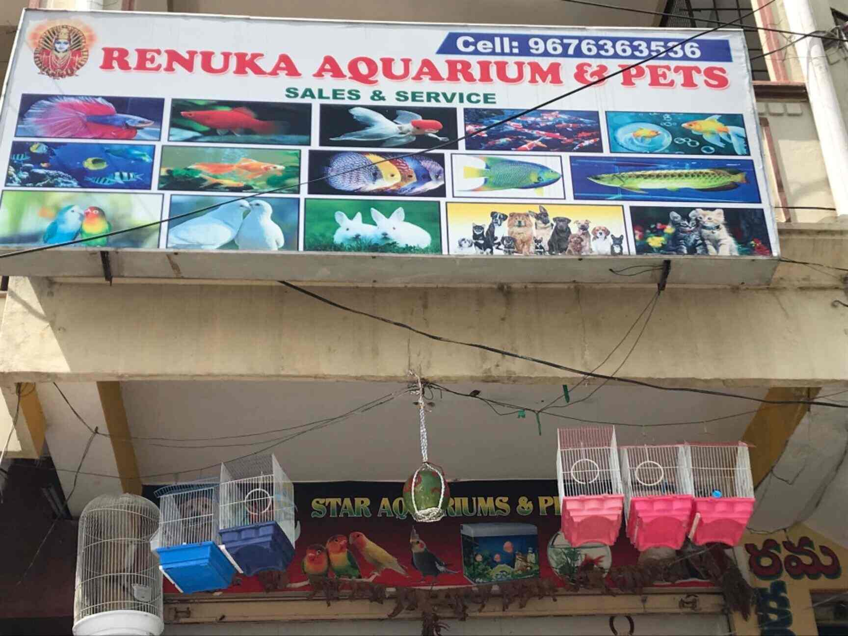 Renuka Aquarium & Pets in Mansoorabad,Hyderabad Best Aquarium