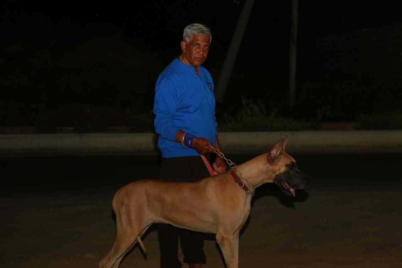 Ss Kennels in Tatti Annaram,Hyderabad Best Kennel Service in