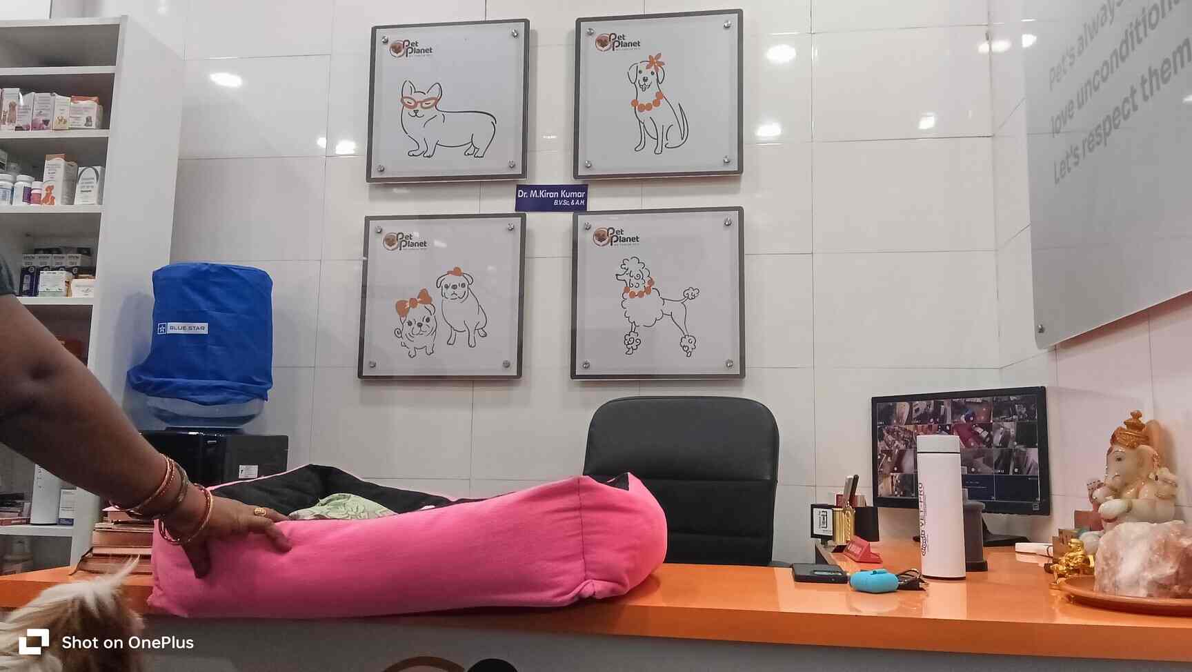 Dog Clinic in AlkapuriKothapet,Hyderabad Best Pet Shops in