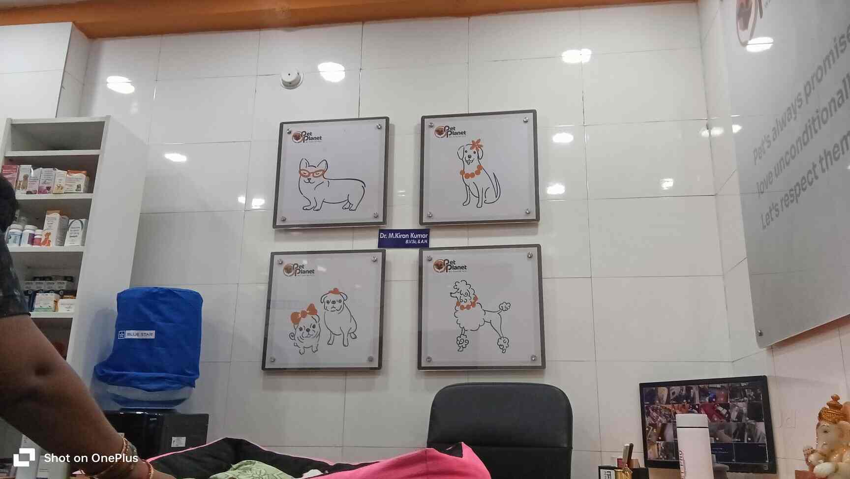 Dog Clinic in AlkapuriKothapet,Hyderabad Best Pet Shops in