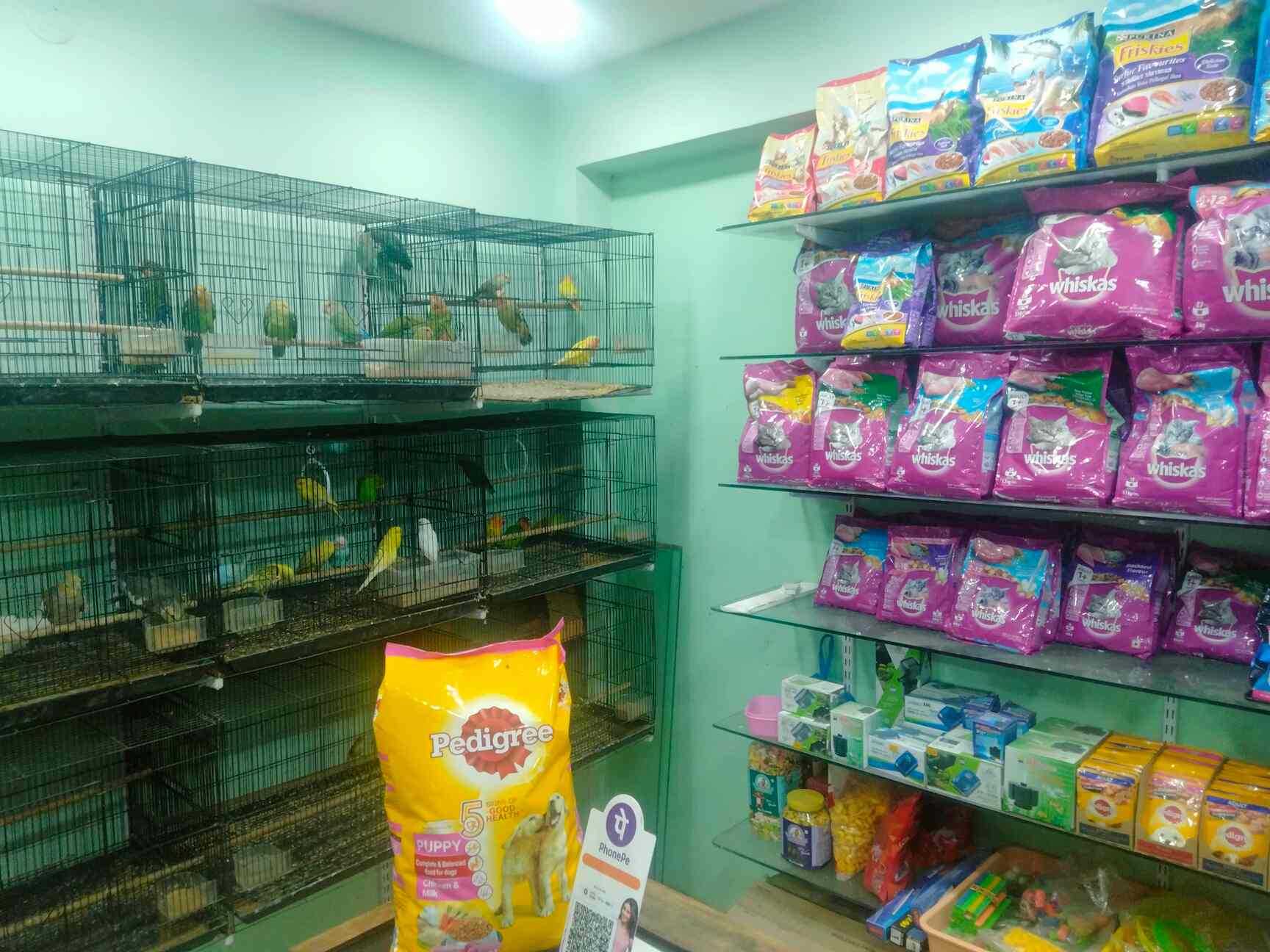 Maria Pets in Balreddy Nagar-Toli Chowki,Hyderabad - Best Pet Food ...