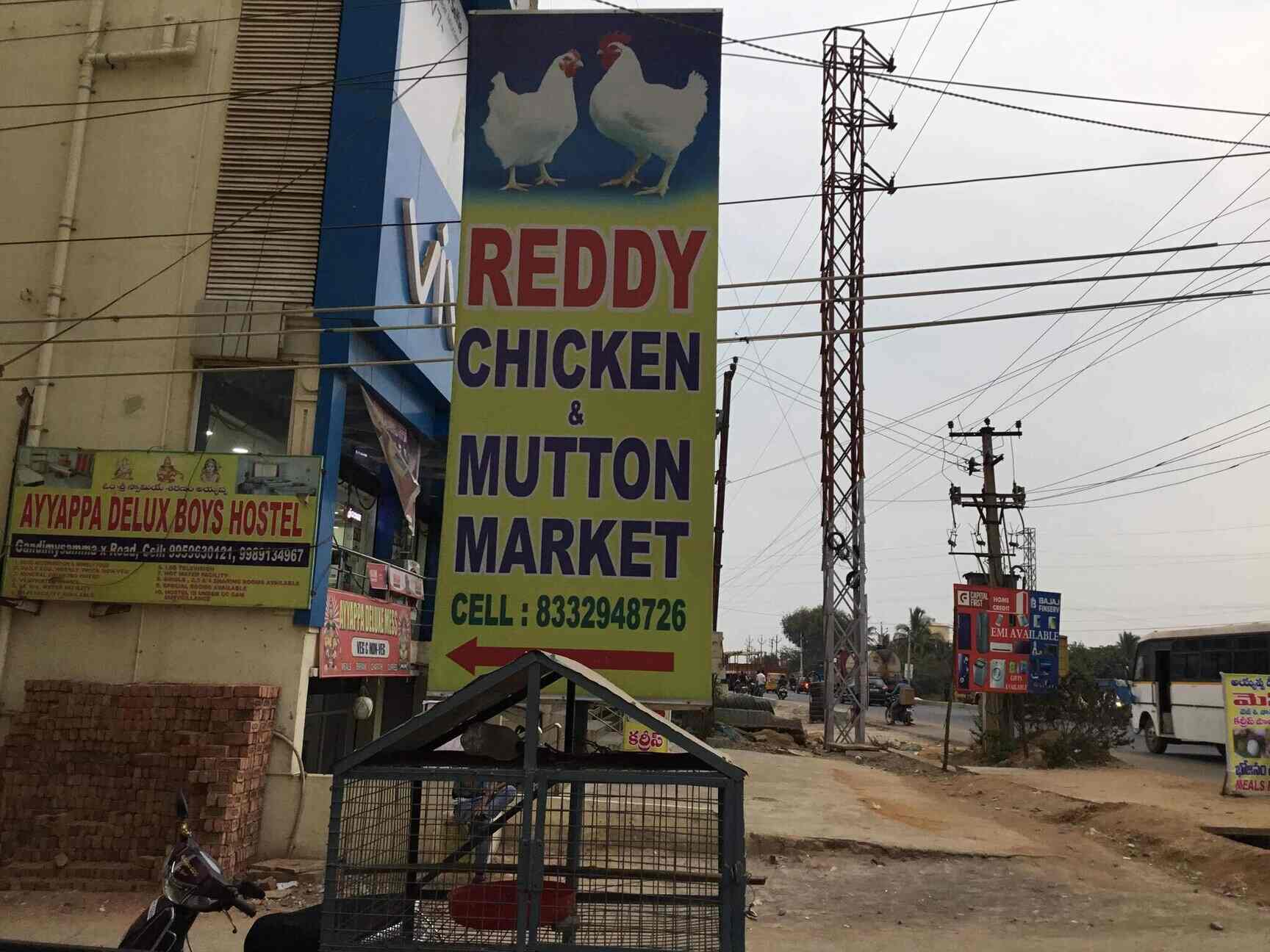 Reddy Chicken and Mutton Market in Gandi Maisamma,Hyderabad Best