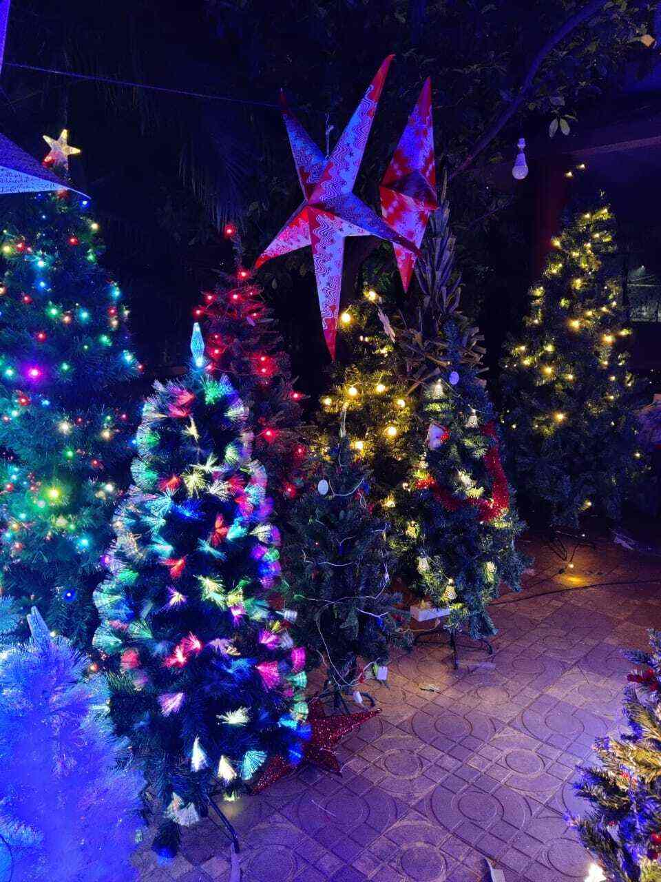 Top 79+ christmas decorations hyderabad vova.edu.vn