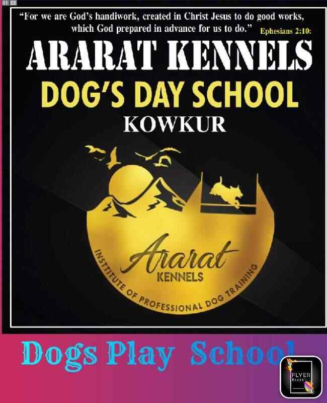 Top Dog Trainers in Sanath Nagar Best Dog Training Centres Justdial