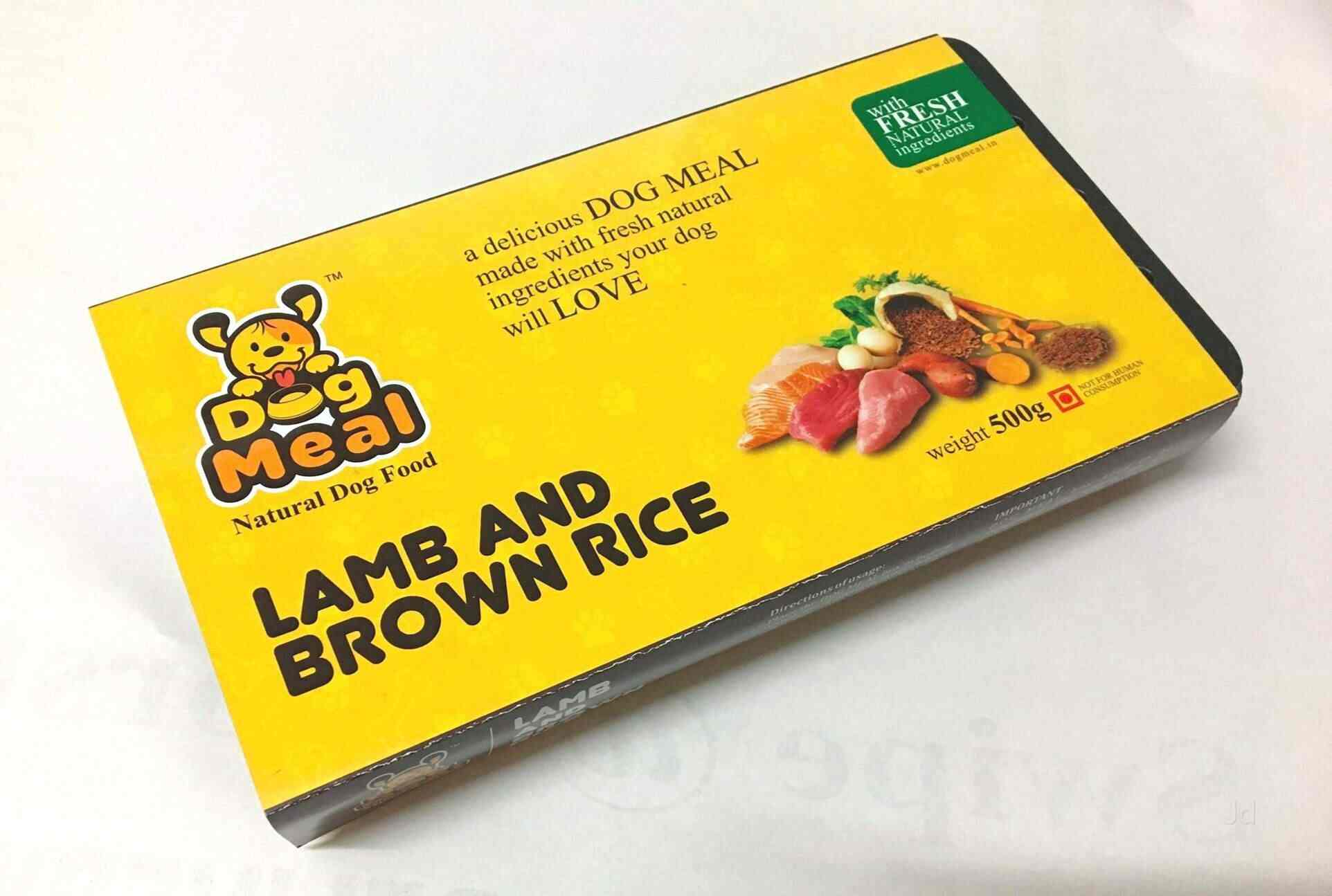 Top Pet Shops For Persian Cat in Gachibowli Best Persian Cat Dealers