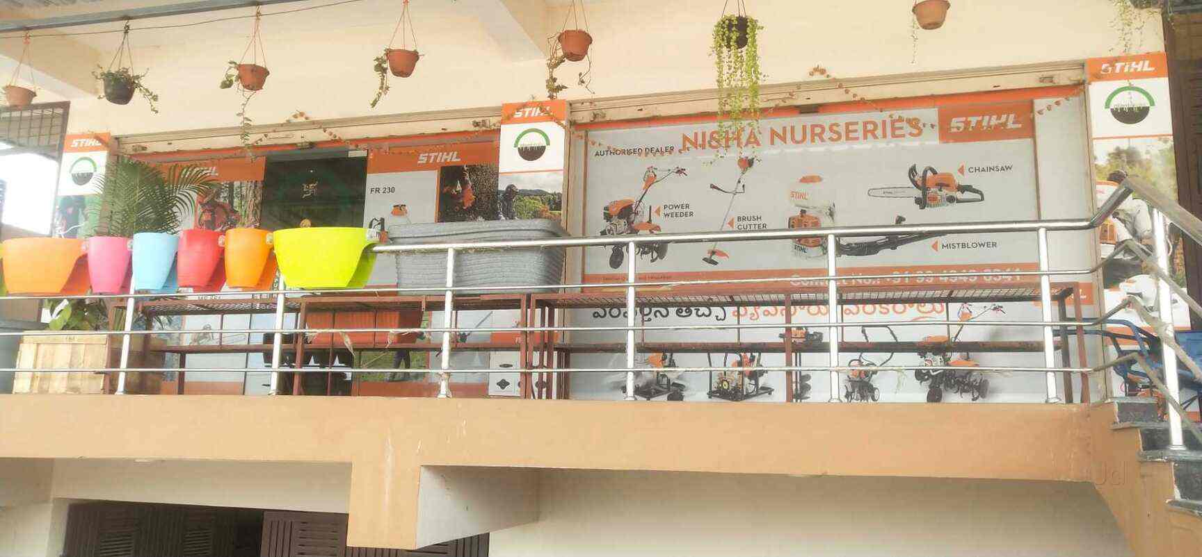 Top 100 Indoor Potted Plant Dealers in Hyderabad Best Indoor