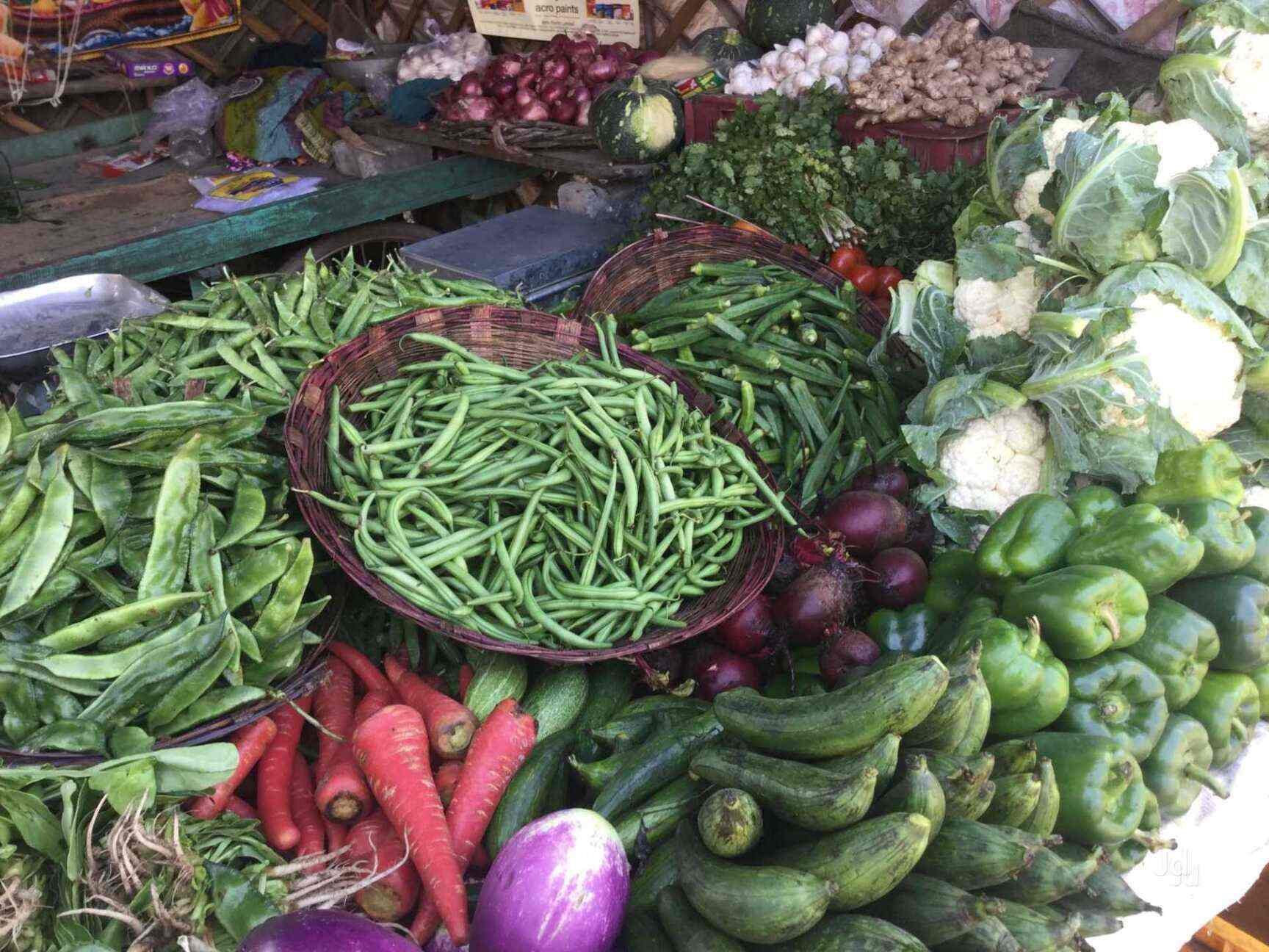 Bsp Madhusudhan Vegetable Commission Import Export And Supplier, Gudi