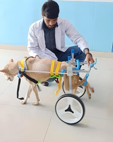 Mr Vet Animal Hospital in Gachibowli,Hyderabad - Best Veterinary Hospitals in Hyderabad - Justdial Mr Vet Animal Hospital in Gachibowli,Hyderabad - Best Veterinary Hospitals in Hyderabad - Justdial
