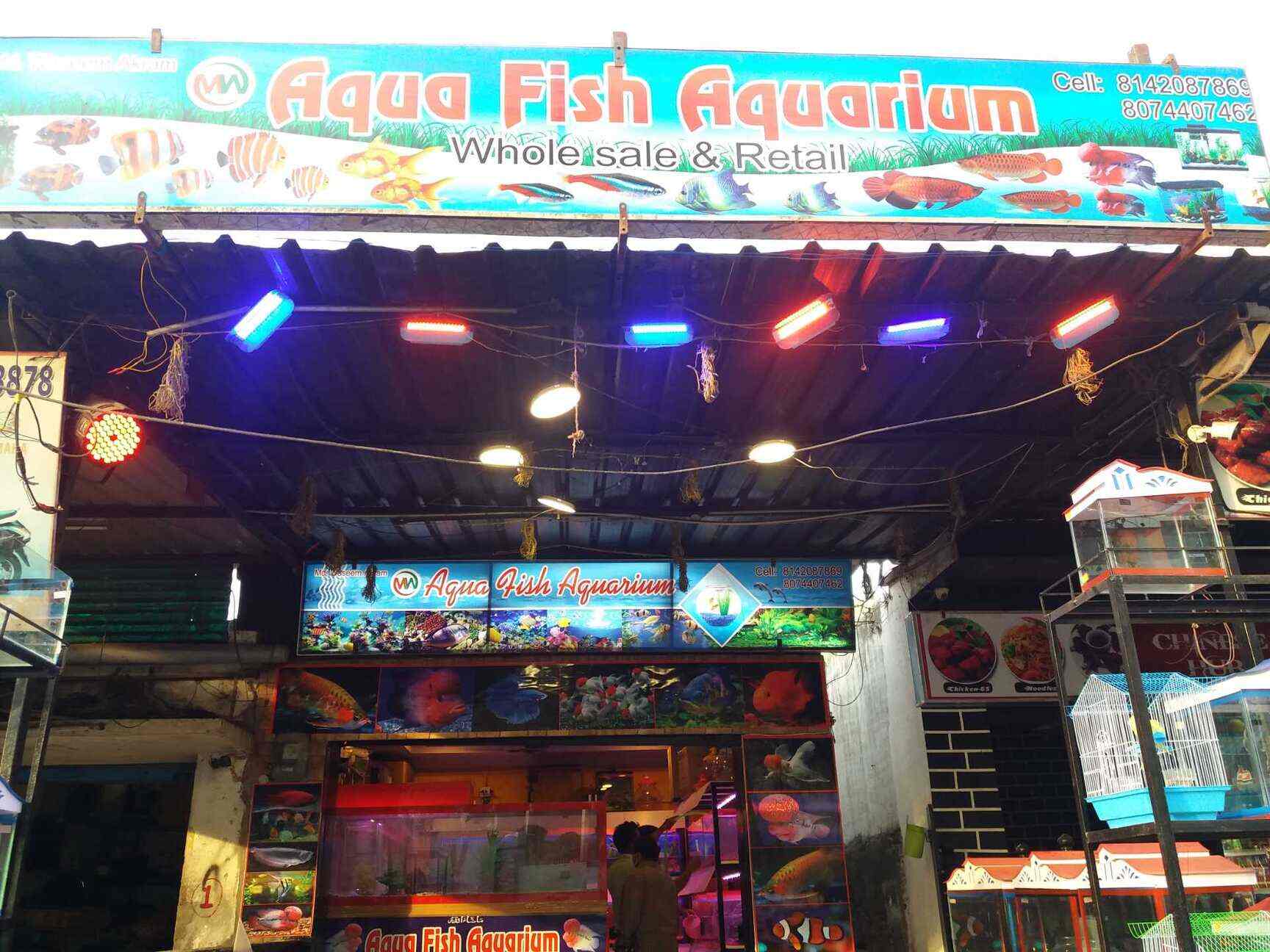 Aquarium wholesale best sale shop near me