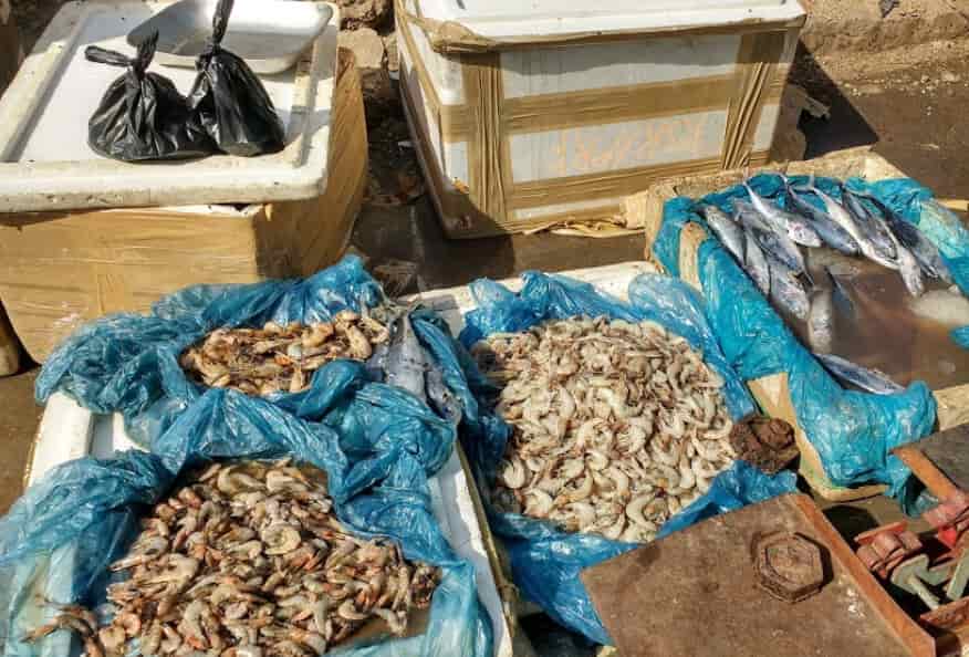 Top Fish Markets in Khairatabad Best Seafood Market Justdial