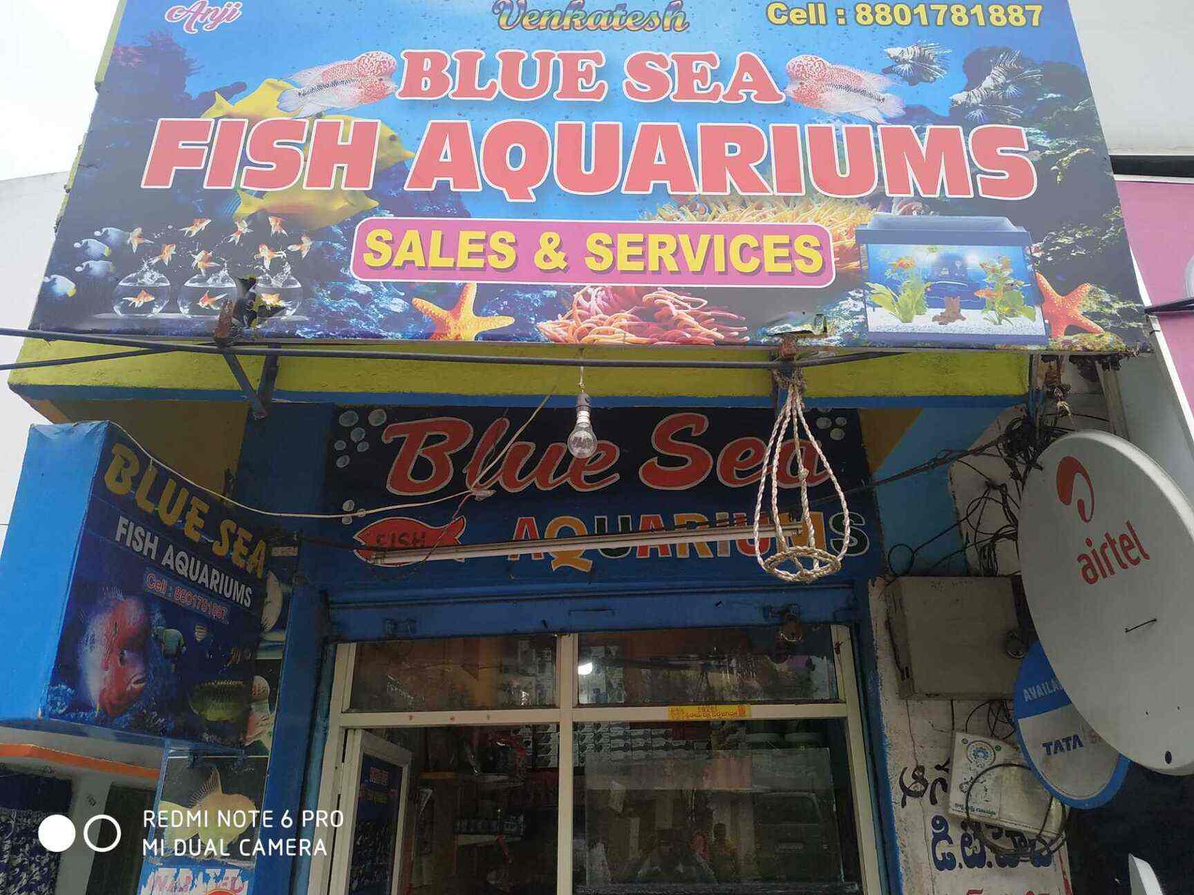Blue Sea Fish Aquariums Dilsukhnagar Cleaning Services In Hyderabad Justdial