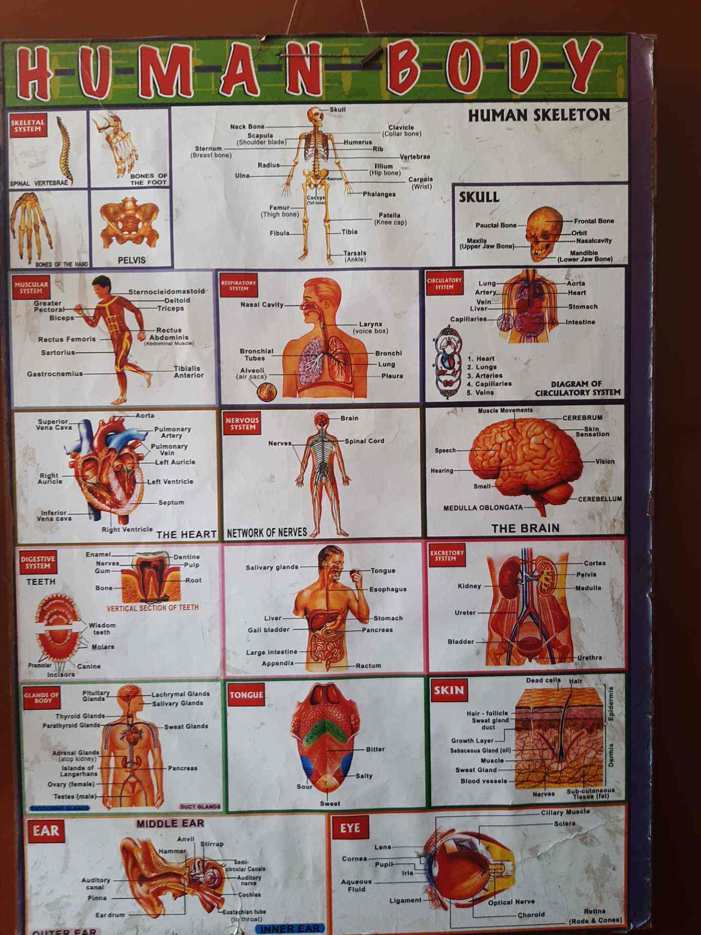 Gunrock Enclave High School in Karkhana,Hyderabad Best Schools in