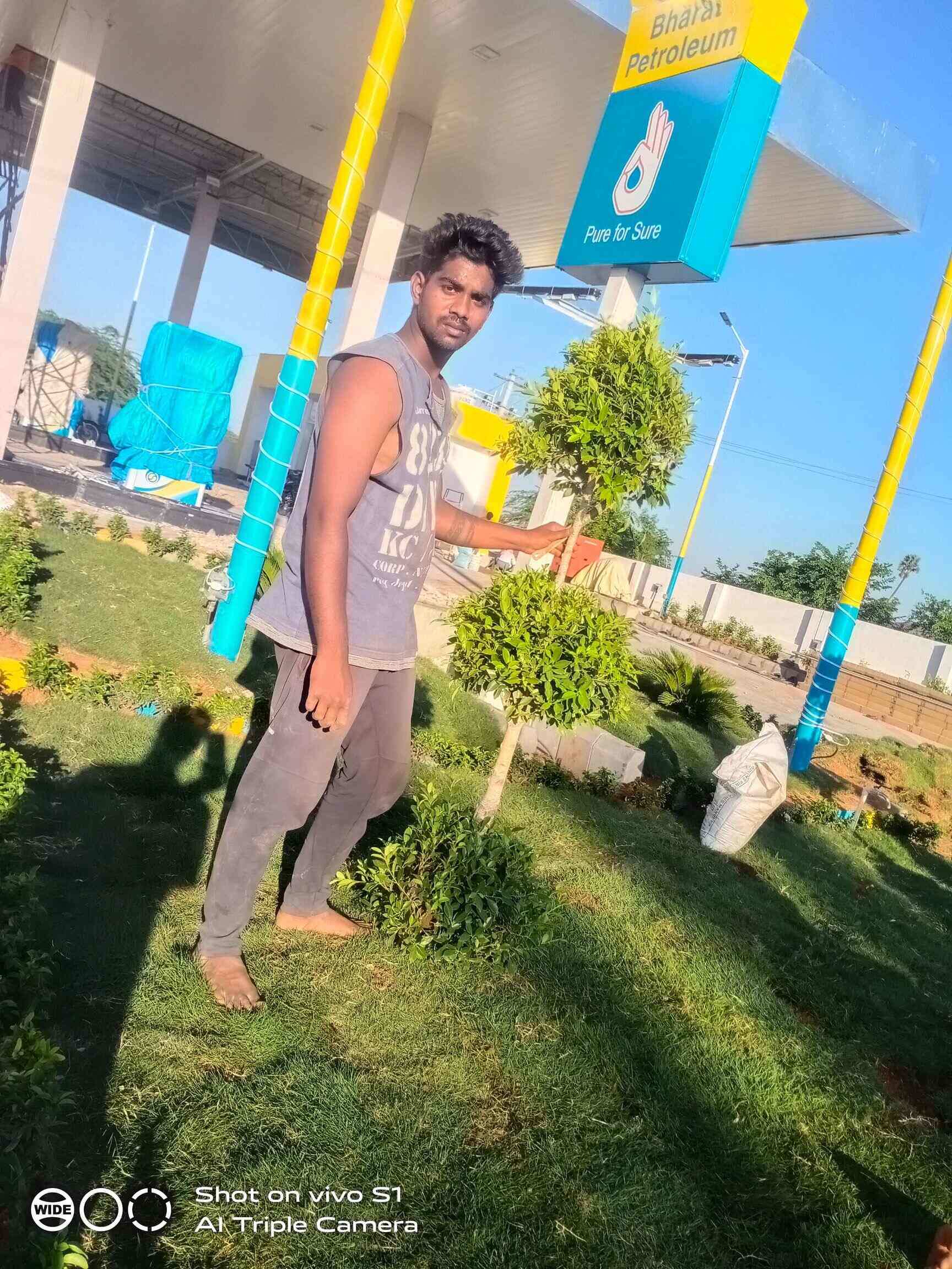 Sri Laxmi Durga Nursey in BN Reddy Nagar,Hyderabad Best Plant