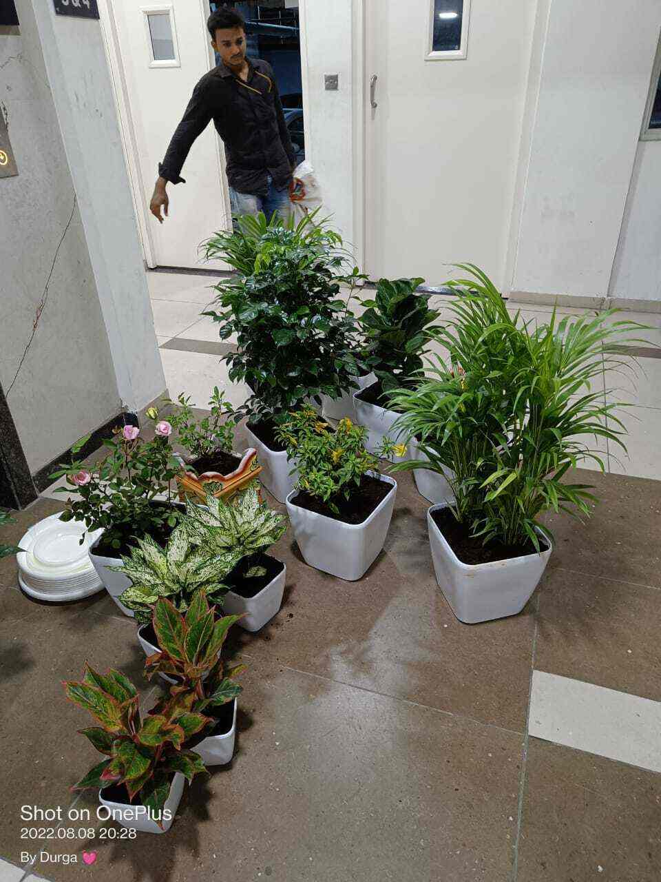 Top Plant Nurseries in Adibatla,Hyderabad Best Government Plant