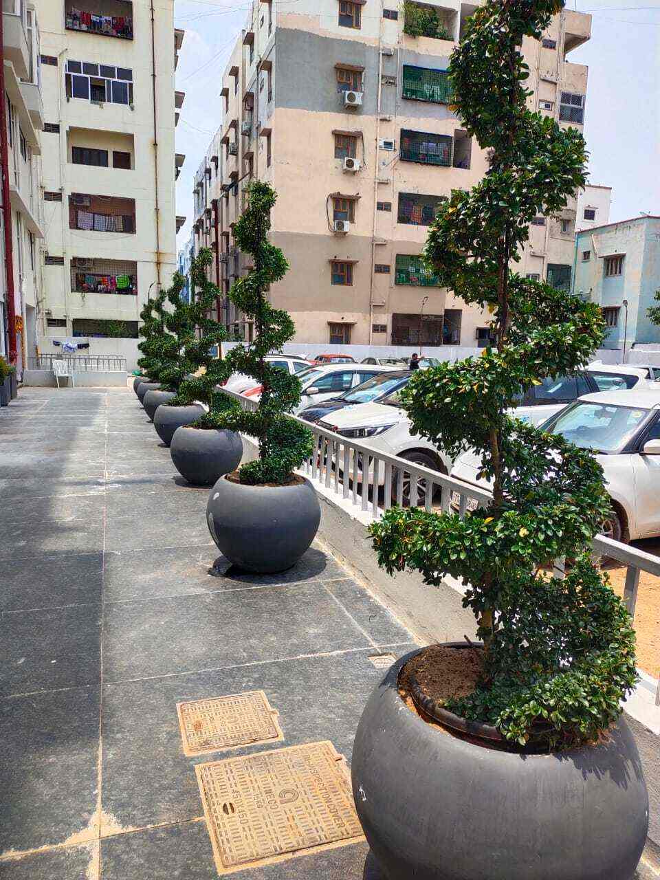 Top Plant Nurseries in Adibatla,Hyderabad Best Government Plant