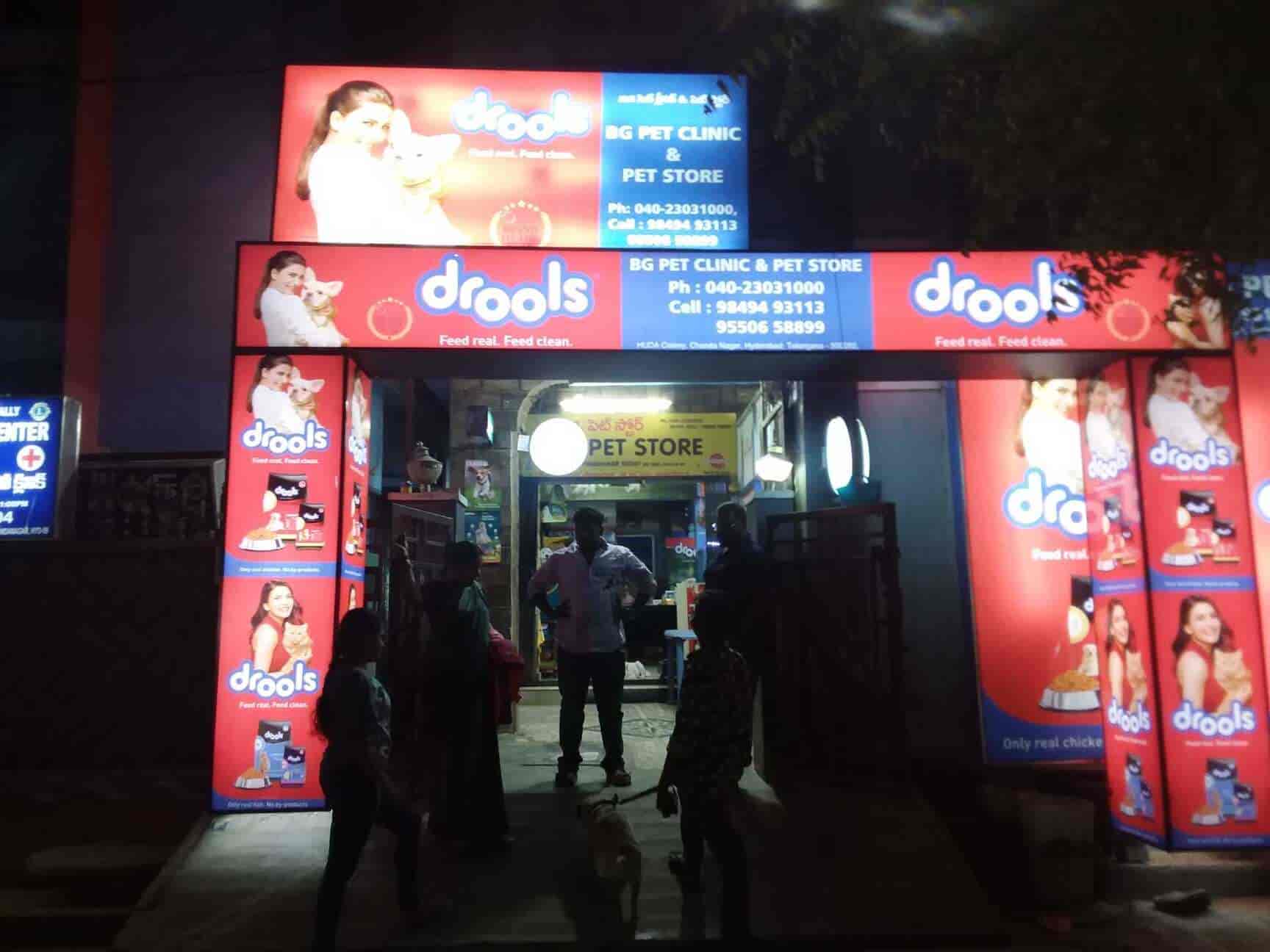Bg Pet Clinic &Pet Store, Chanda Nagar Dog Kennel Dealers in Hyderabad Justdial