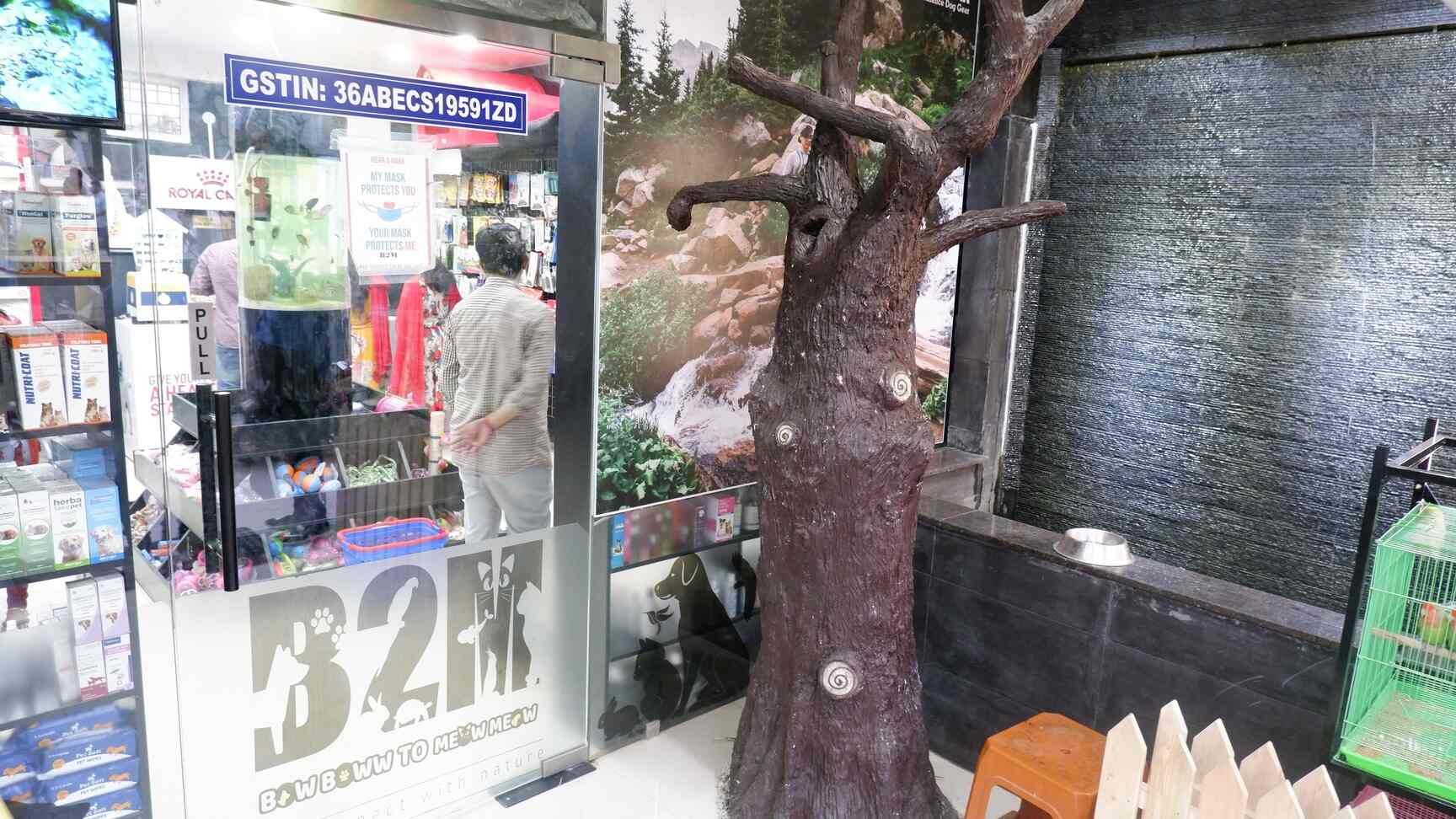 Bow Boww to Meow Meow in Kukatpally,Hyderabad Best Pet Shops For