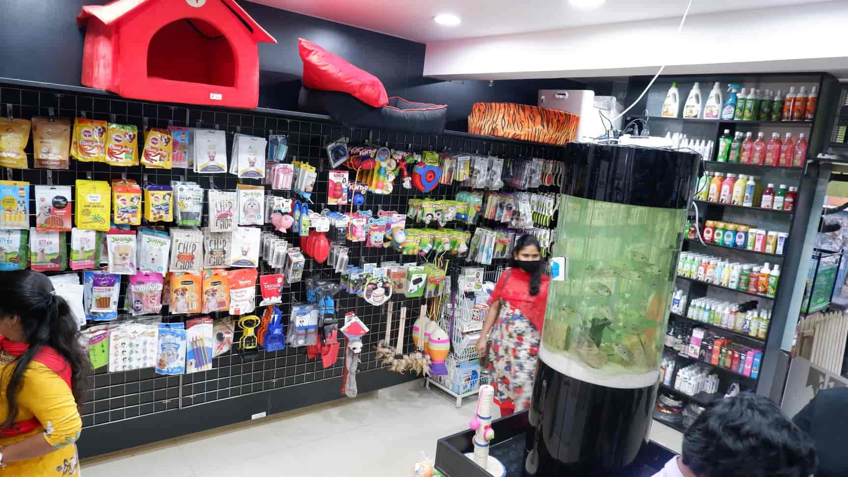 Bow Boww to Meow Meow in Kukatpally,Hyderabad Best Pet Shops For