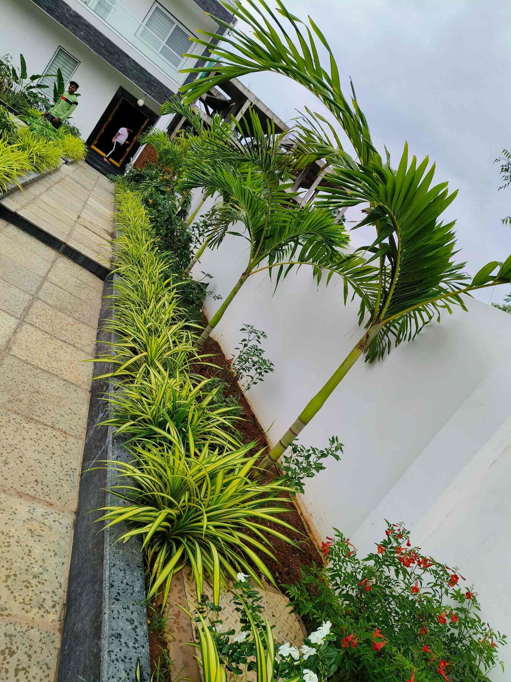 Catalogue Ayyappa Nurseries And All Services in Kukatpally