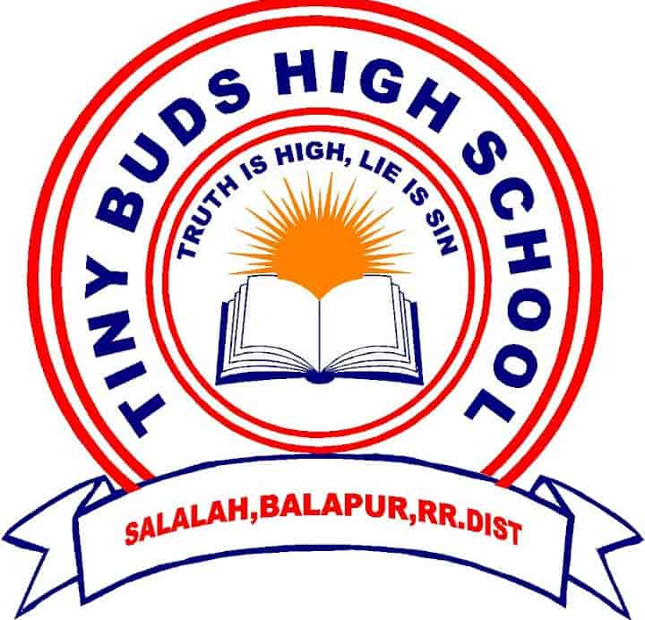 Tiny Buds School in Barkas,Hyderabad - Best Schools in Hyderabad - Justdial