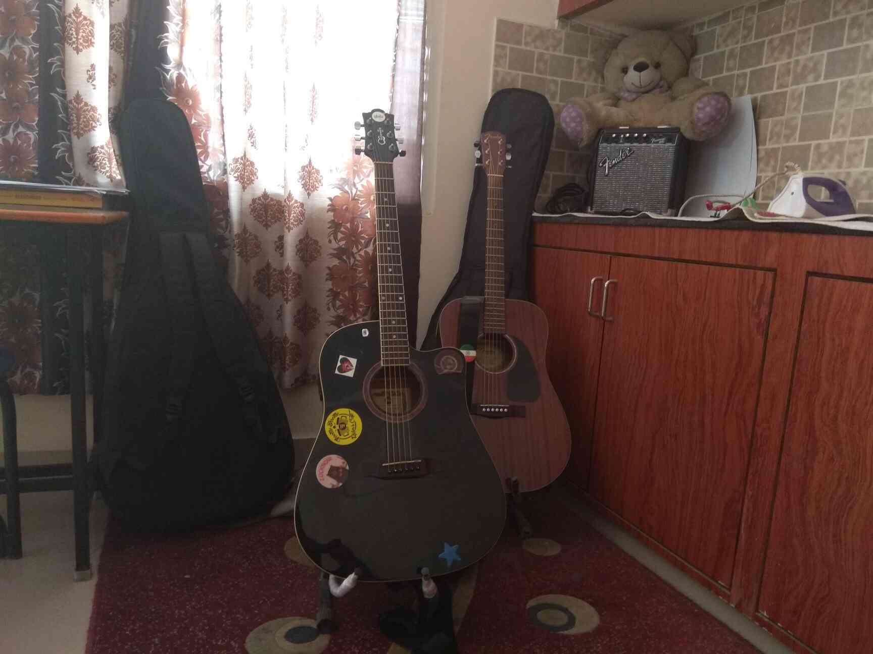 Alis Guitar in Madhapur,Hyderabad Best Music Classes in Hyderabad