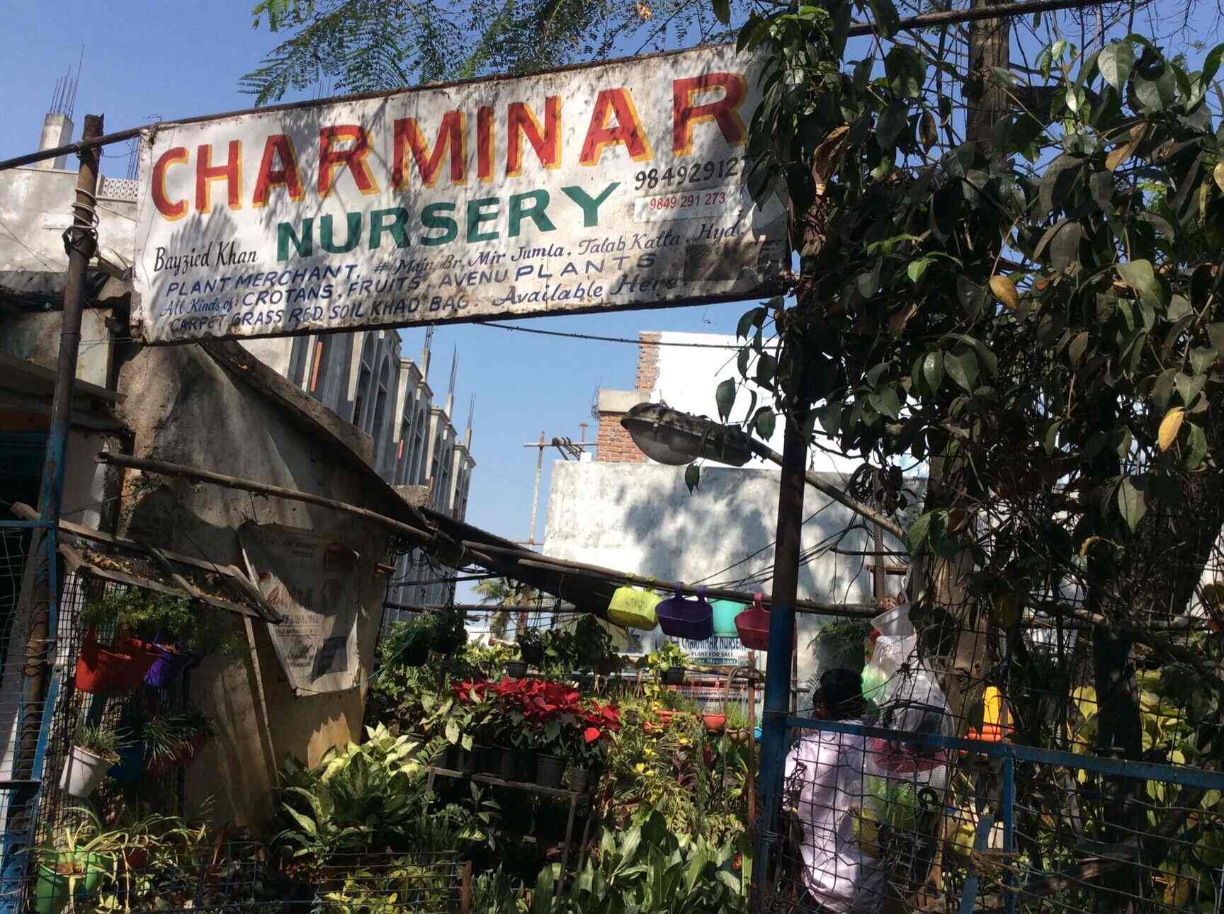 Top Plant Nurseries in Adibatla,Hyderabad Best Government Plant