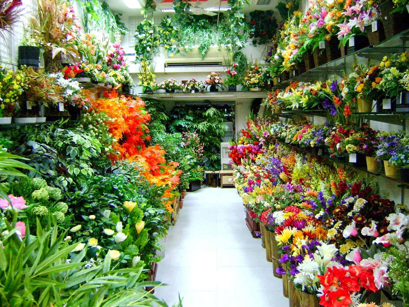 Top Imported Flower Dealers in Kolkata near me Justdial
