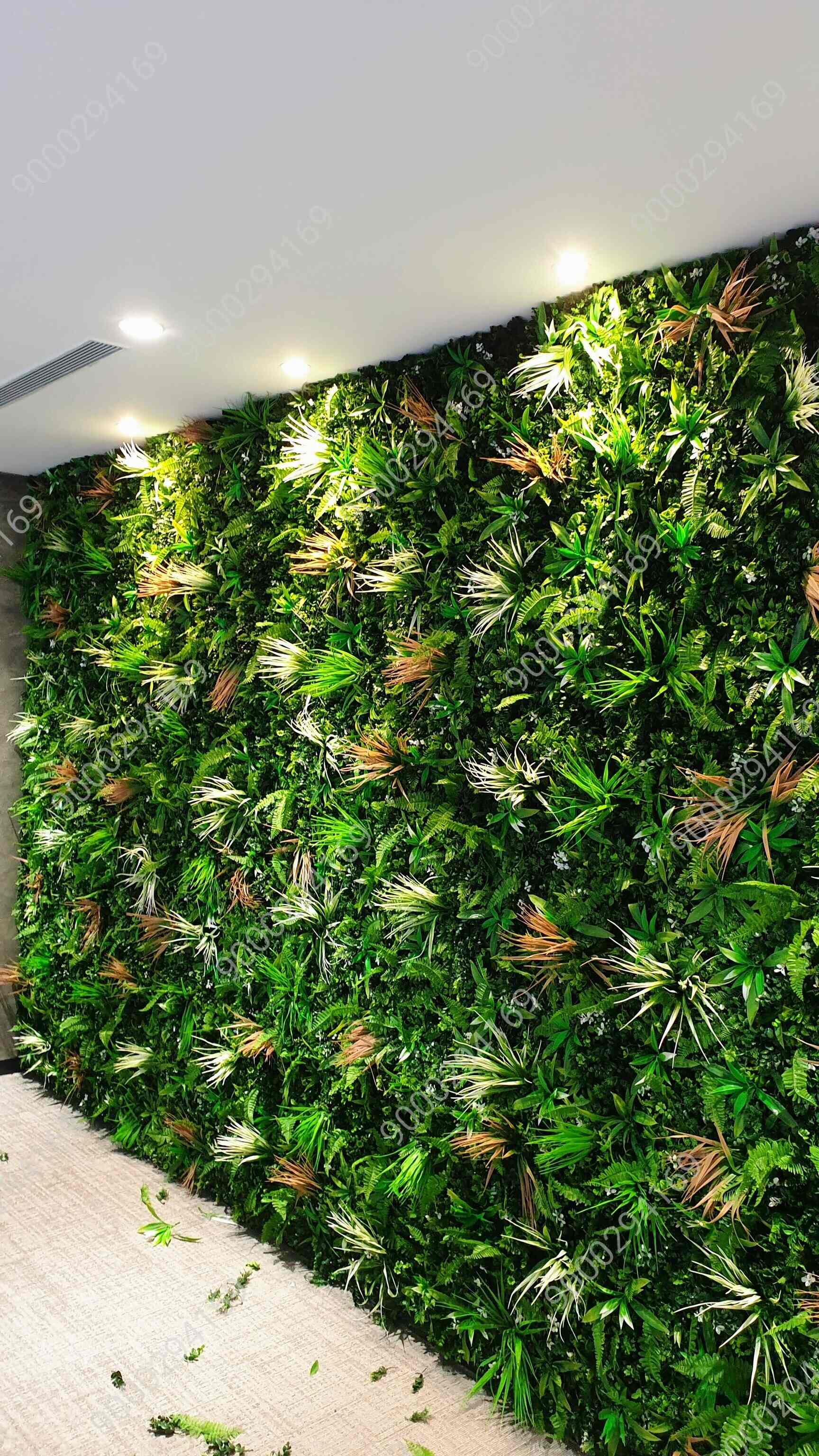 Top Imported Flower Dealers in Kolkata near me Justdial