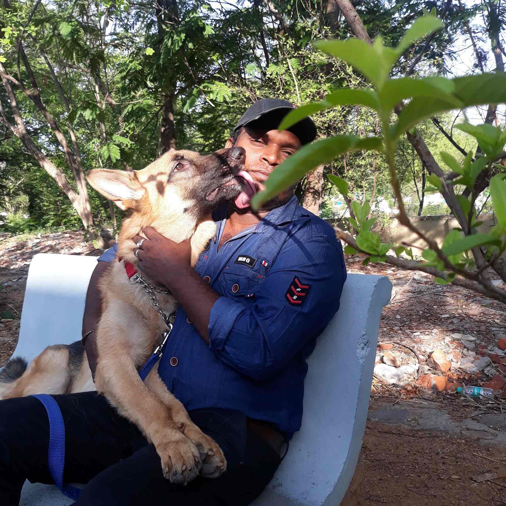 Dogs Commander in Banjara Hills,Hyderabad Best Dog Trainers At Home