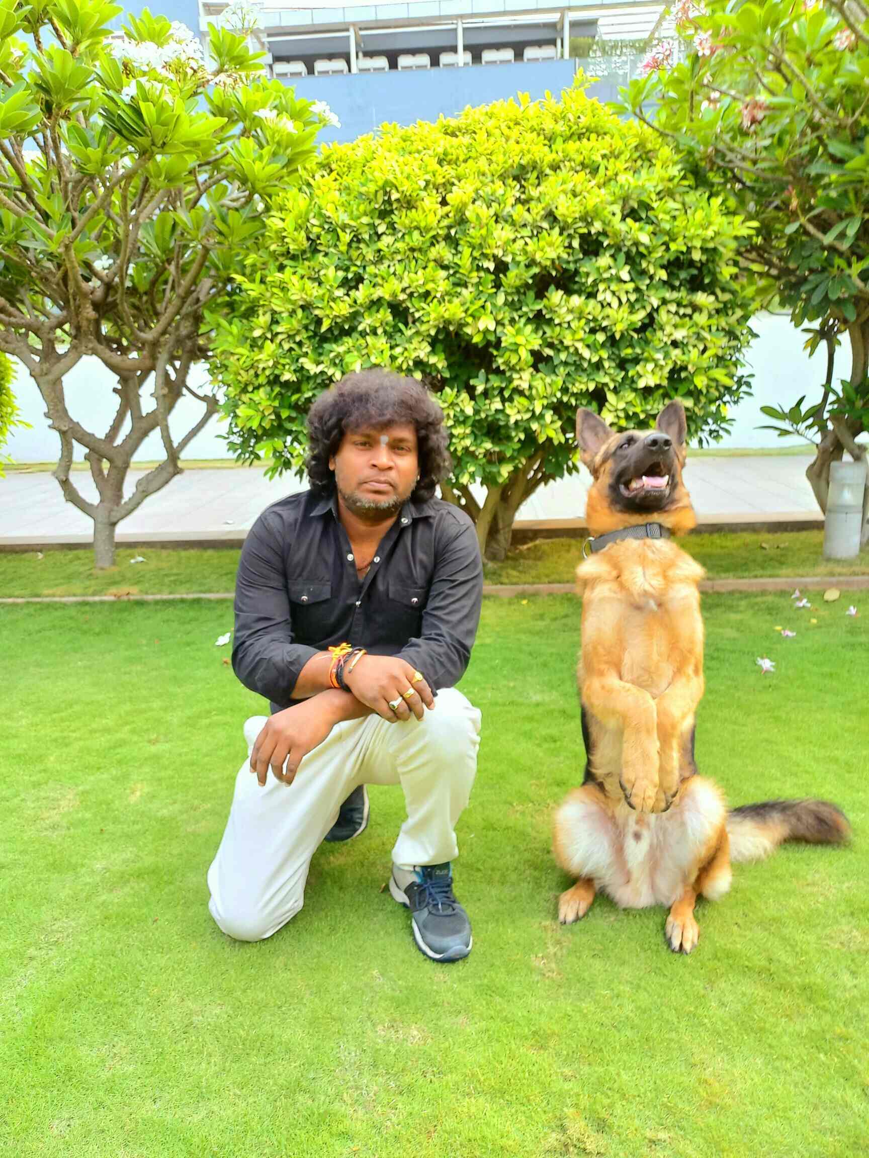 Dogs Commander in Banjara Hills,Hyderabad Best Dog Trainers At Home