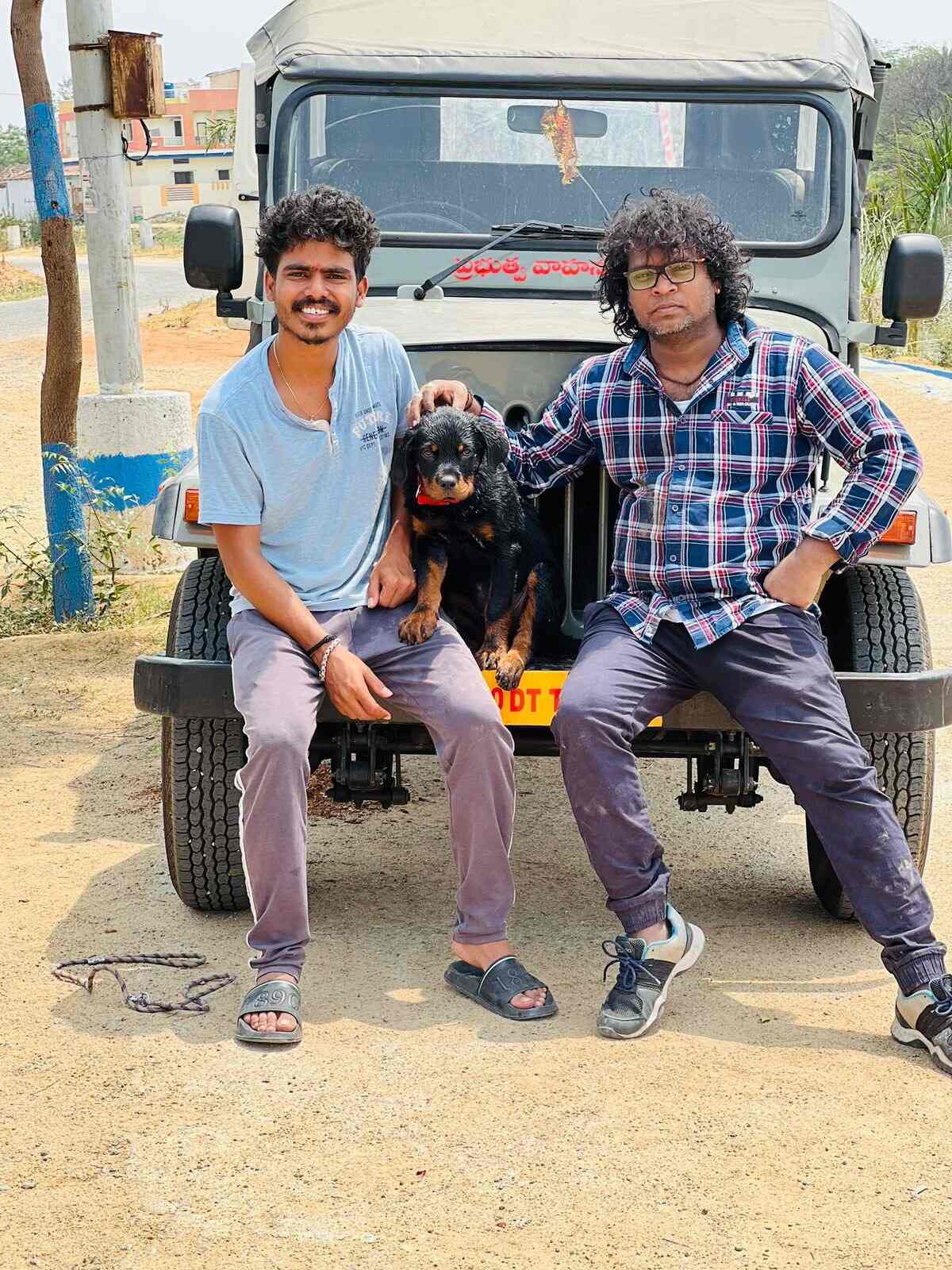 Dogs Commander in Banjara Hills,Hyderabad Best Dog Trainers At Home