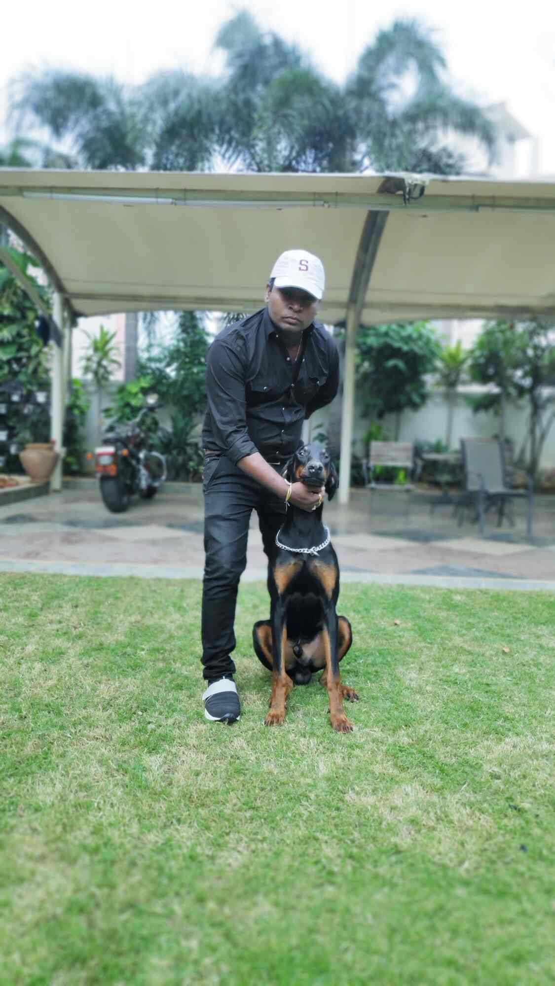 Dogs Commander in Banjara Hills,Hyderabad Best Dog Trainers At Home